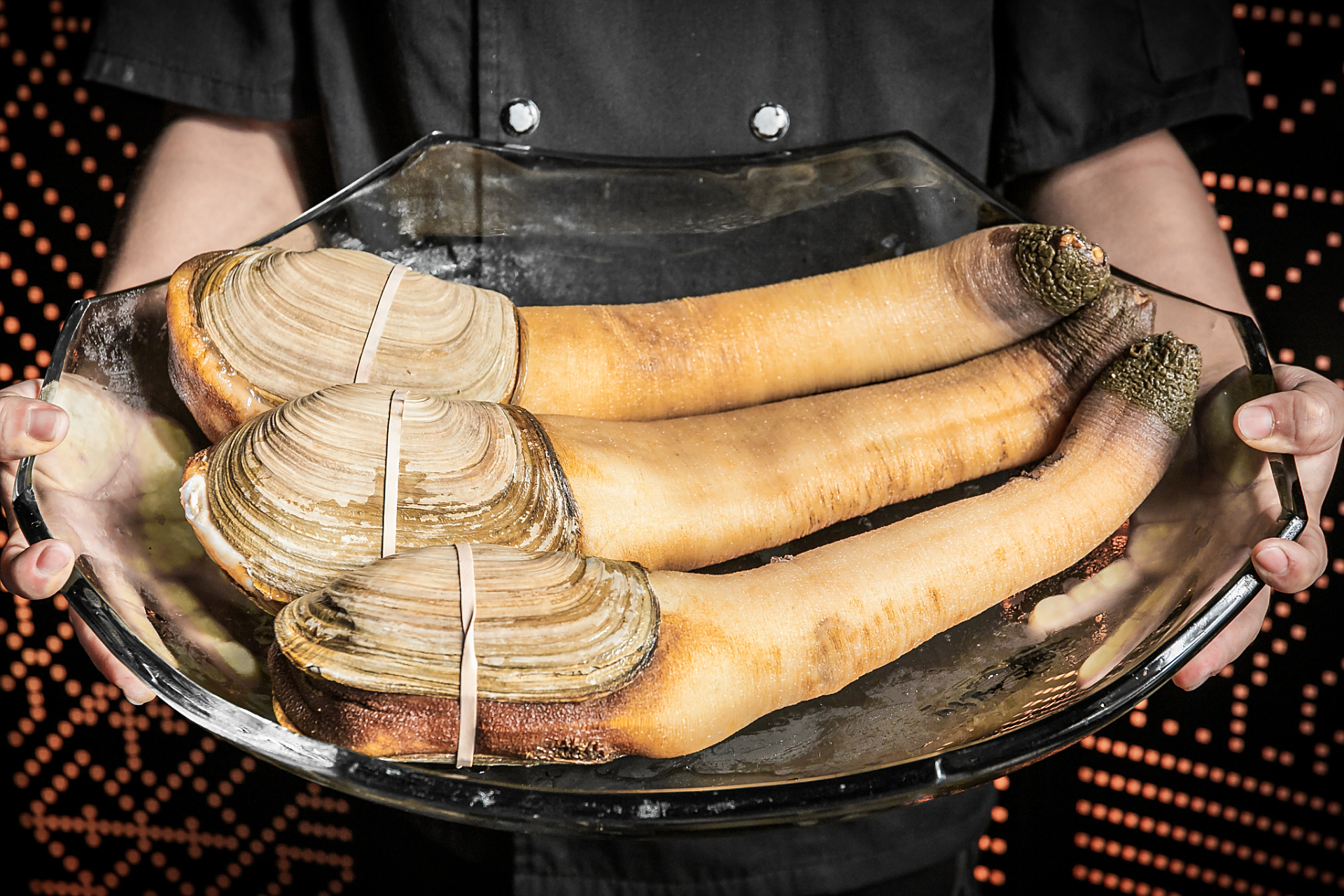 泥泞!象拔蚌多少钱"出奇制胜"-第2张图片-佩珍博客