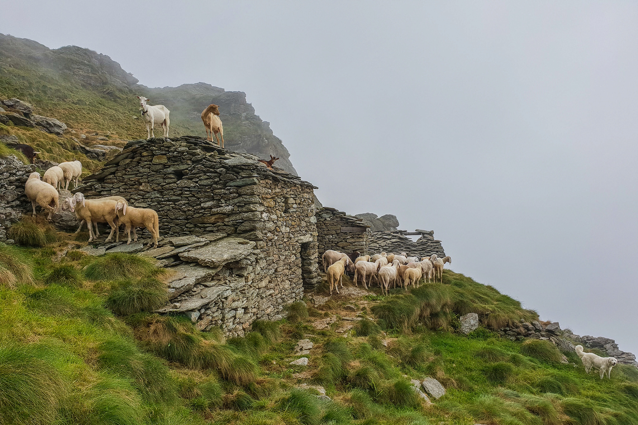 山西虎头山是道教和佛教圣地,拥有美丽的自然和人文景观