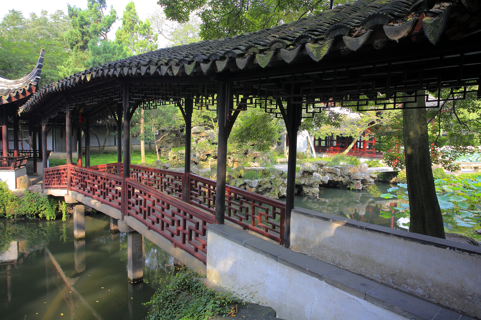 古典园林的曲廊是不可或缺的重要组成部分,充分展现了造园艺术家卓越