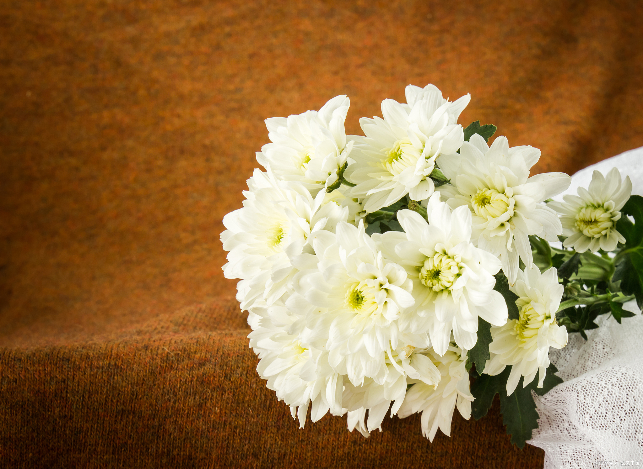 日子好短,短的来不及好好告别!