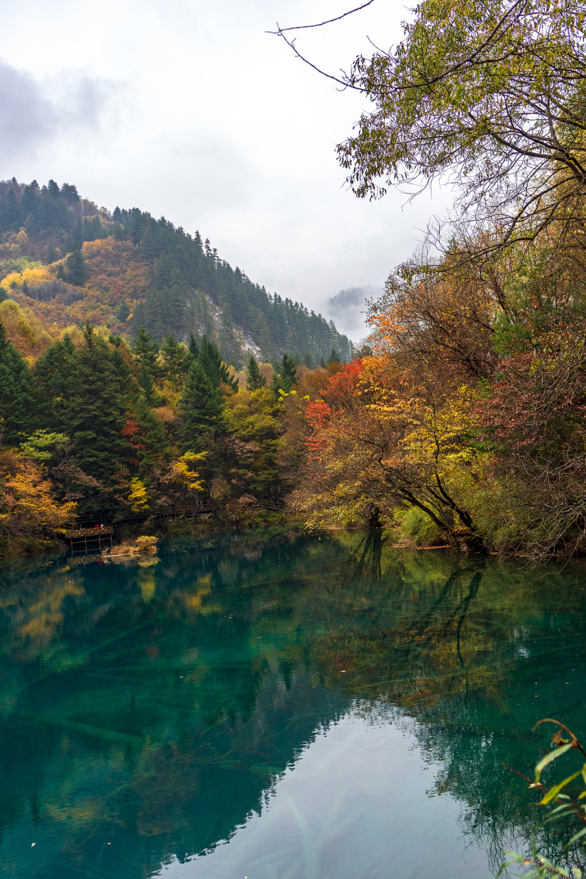 秋天是一年中最美的季节之一,天气凉爽,景色宜人.