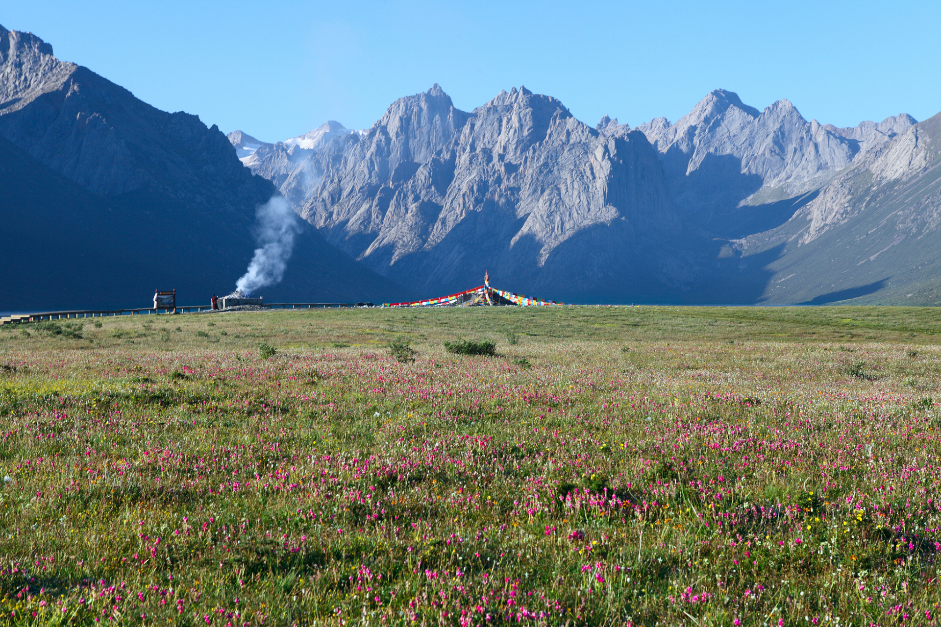 奇遇那拉提#新疆那拉提雪莲谷景区位于新疆维吾尔自治区喀什地区邓