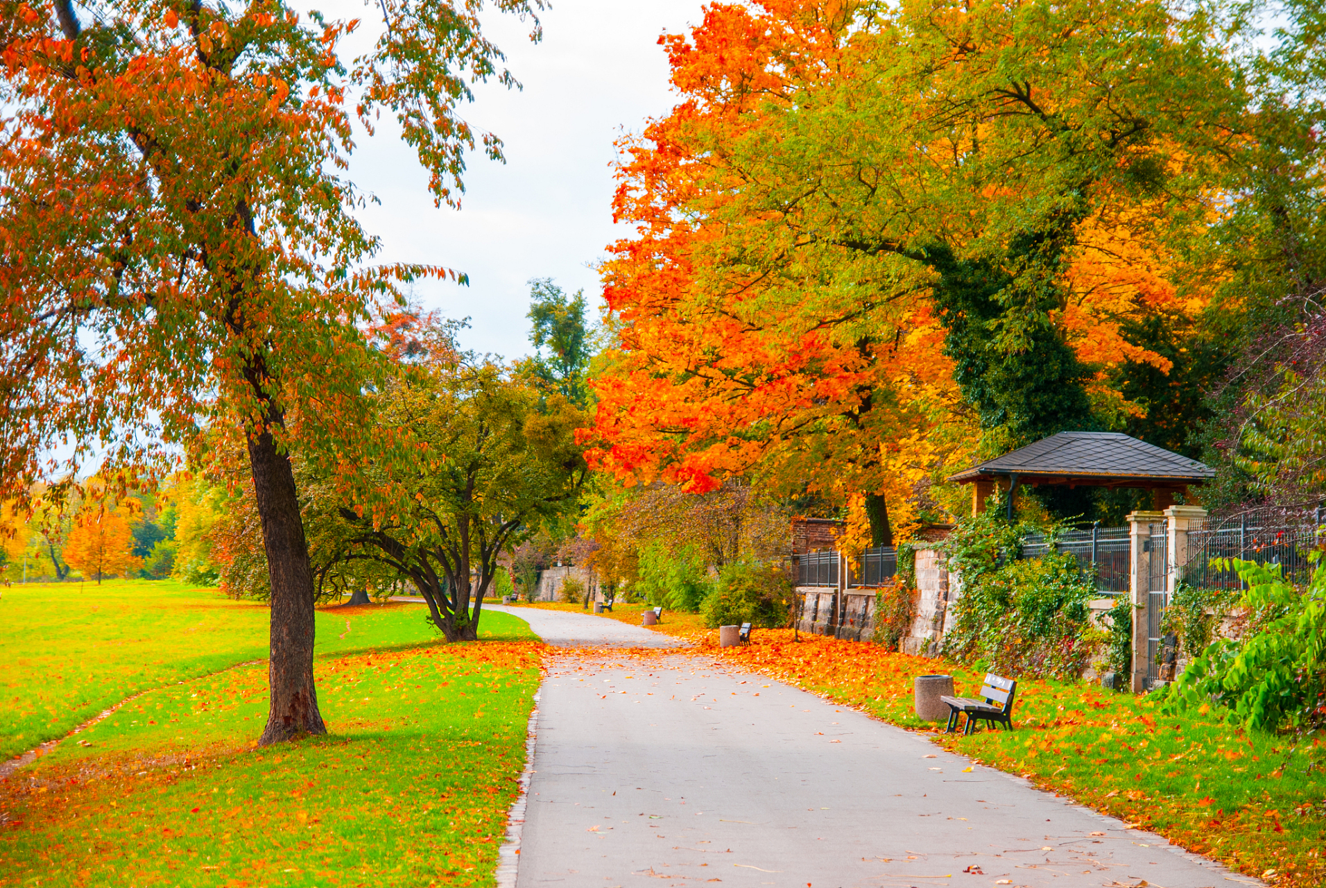 作为一名长期关注养生的我,今天就来给大家分享一下秋天如何养生