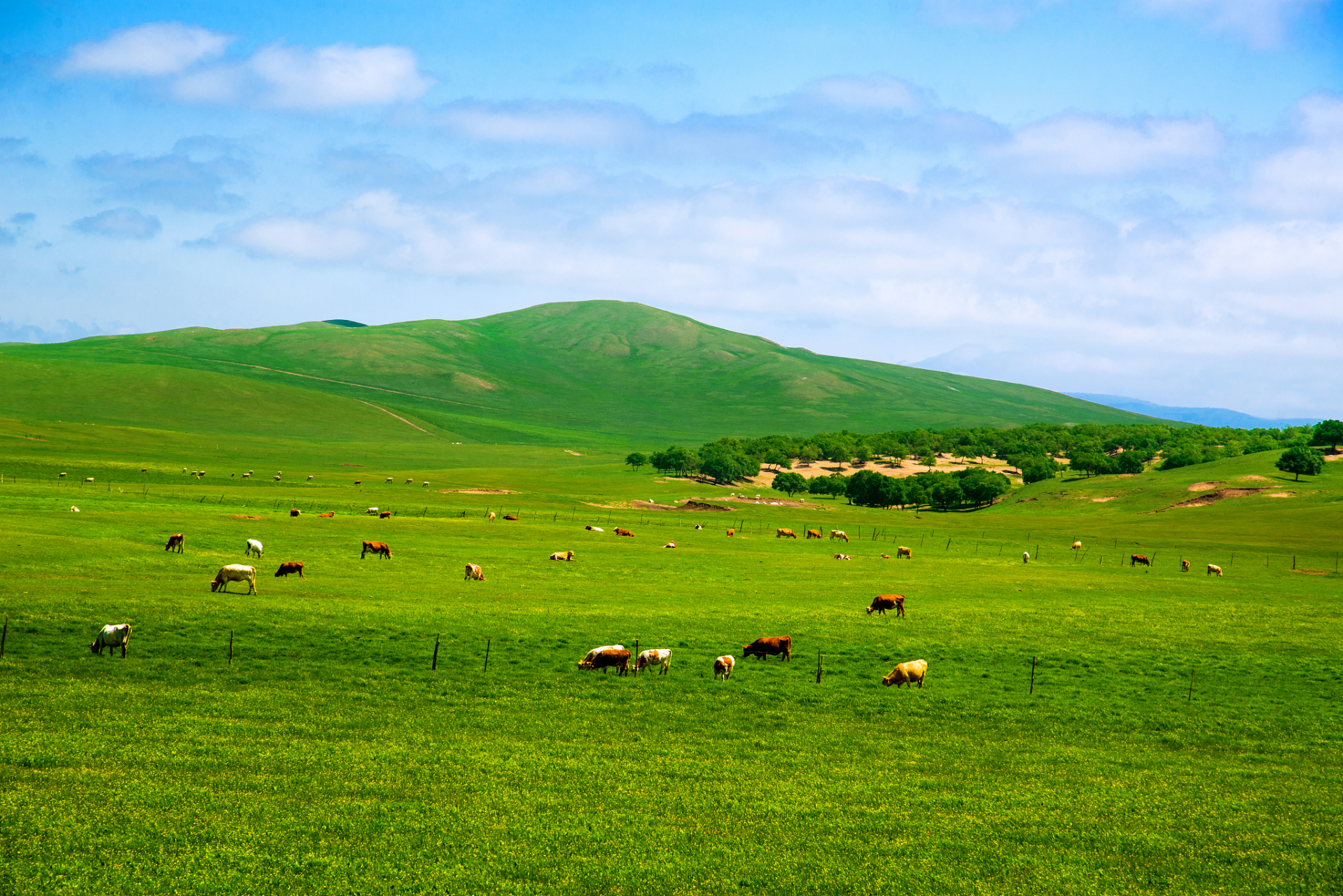 巴音布鲁克草原几月份最美?