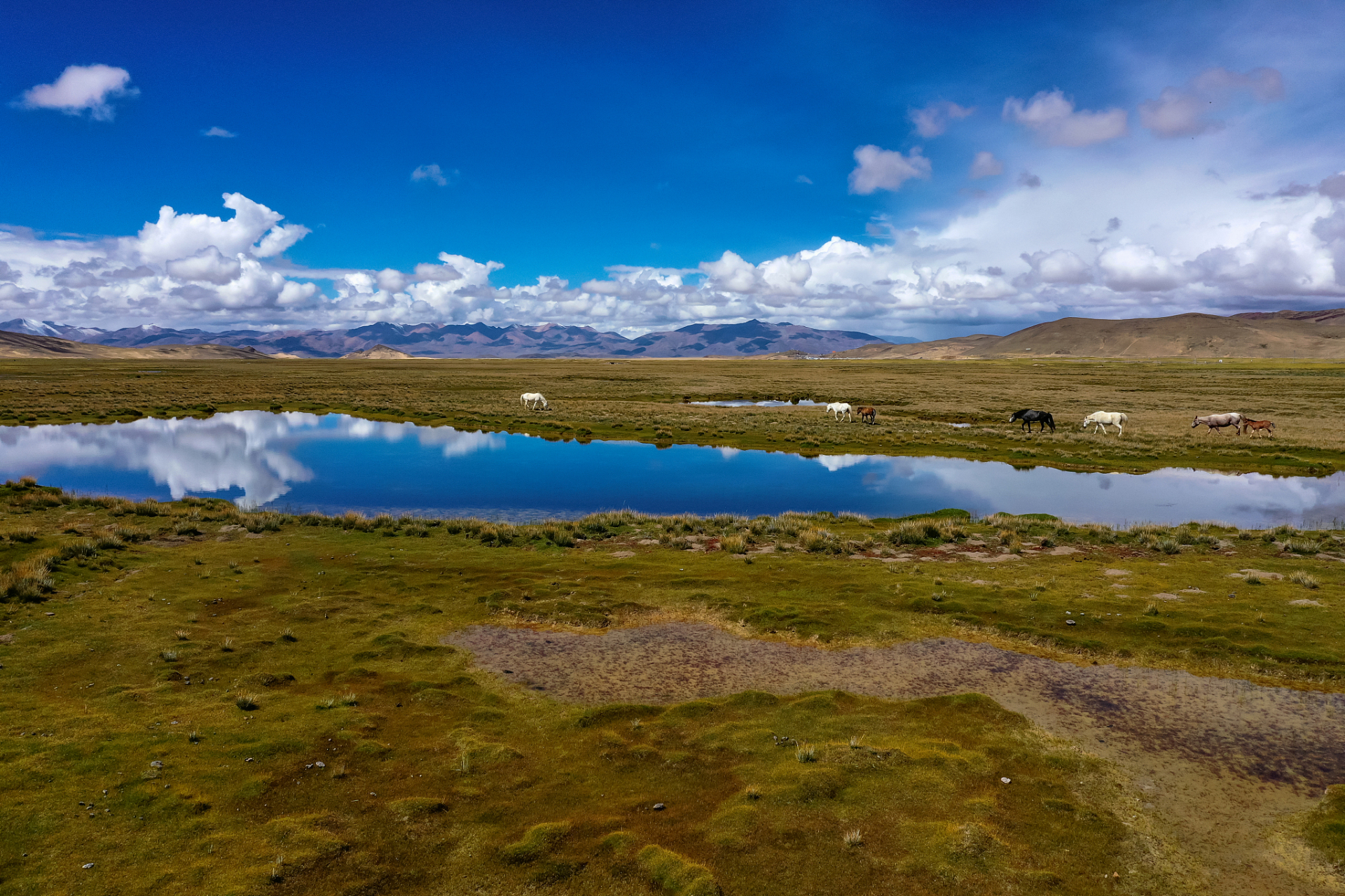 白海子位于四川康定老榆林乡旁,海拔4500米,属于贡嘎山系的一部分.