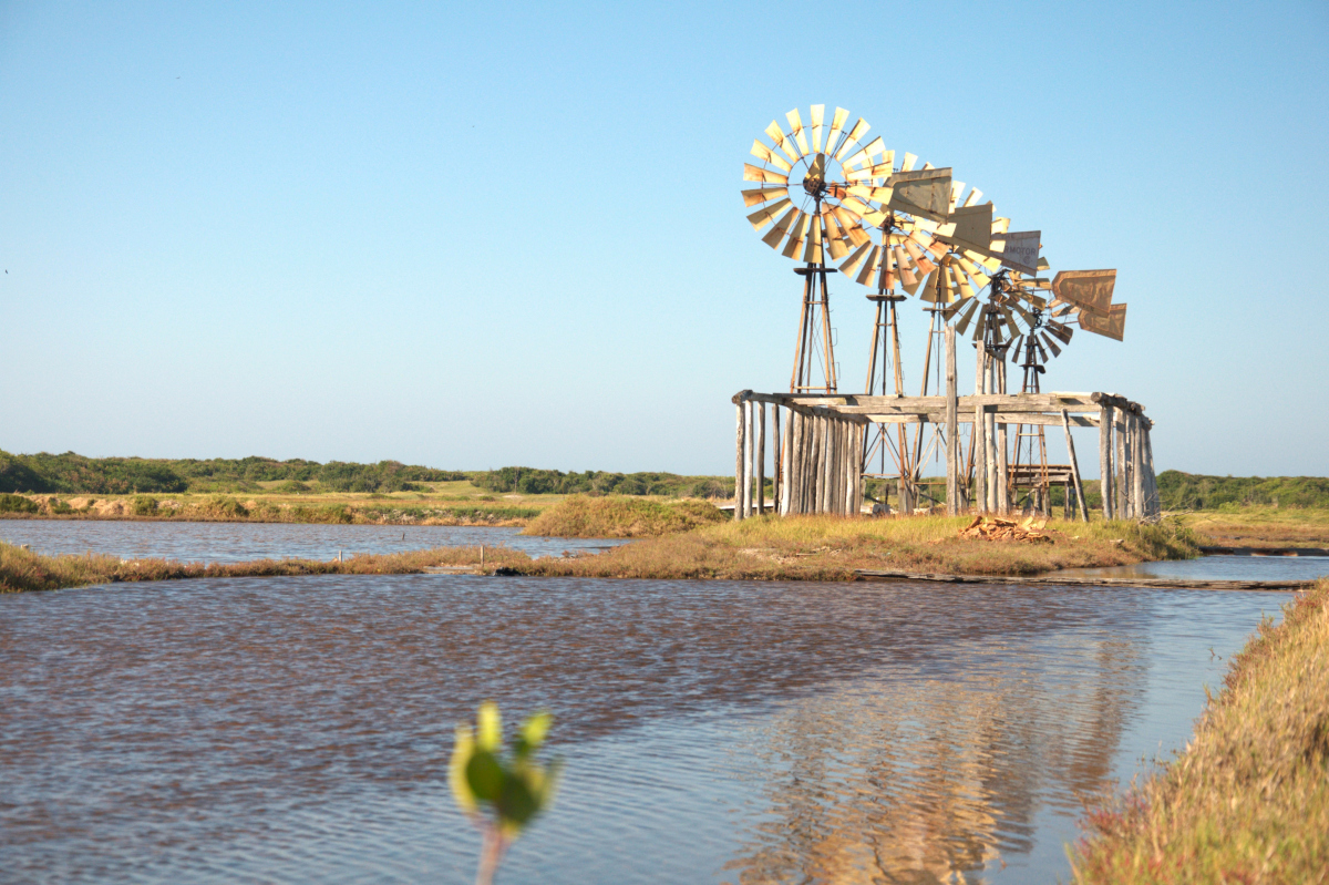 淮安旅游景点攻略白马湖: 1.