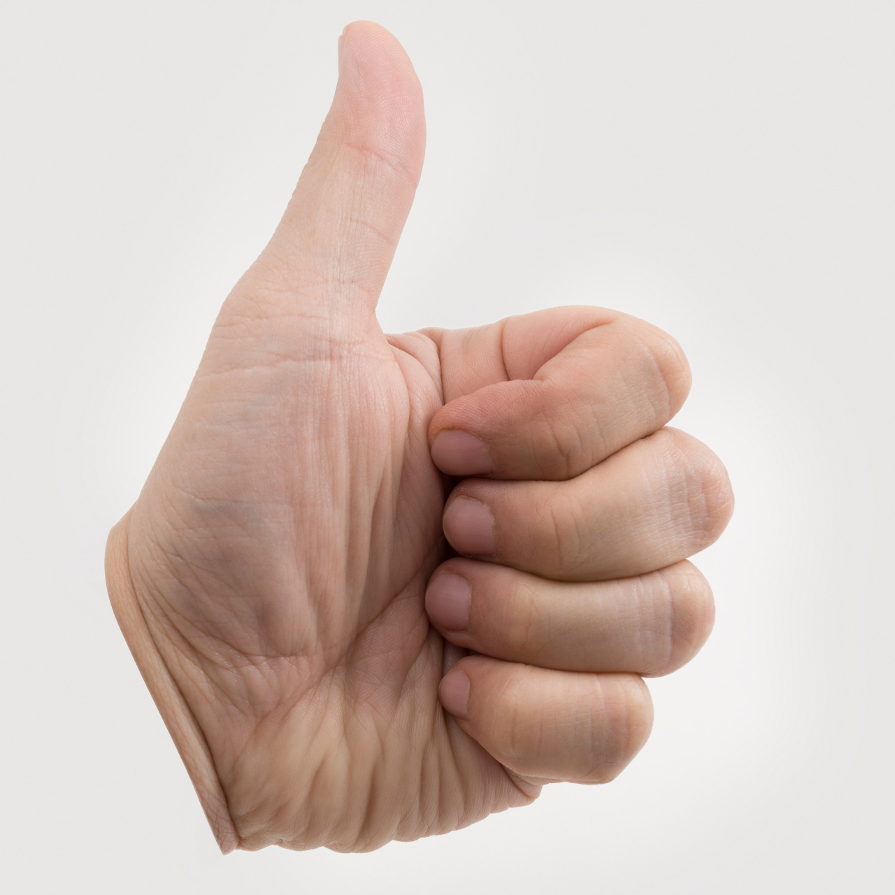 大拇指相比其他手指只有两节的主要原因是进化的结果.