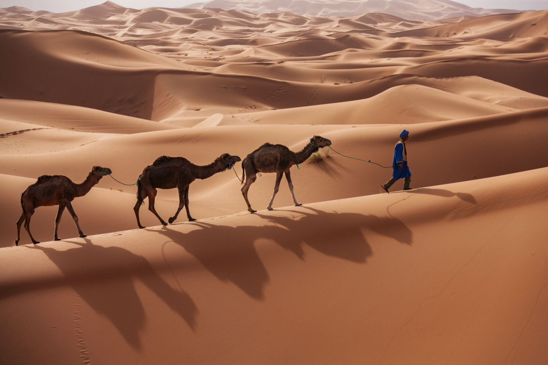 撒哈拉沙漠,地球上最壮观的热带荒漠!气候极端,年降水量几乎为零