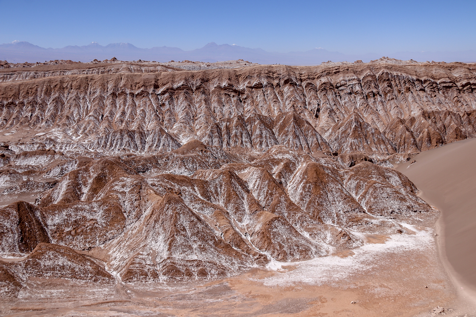穿越时空的旅行# 塔里木盆地,位于我国西部边陲,是一片神秘而美丽的