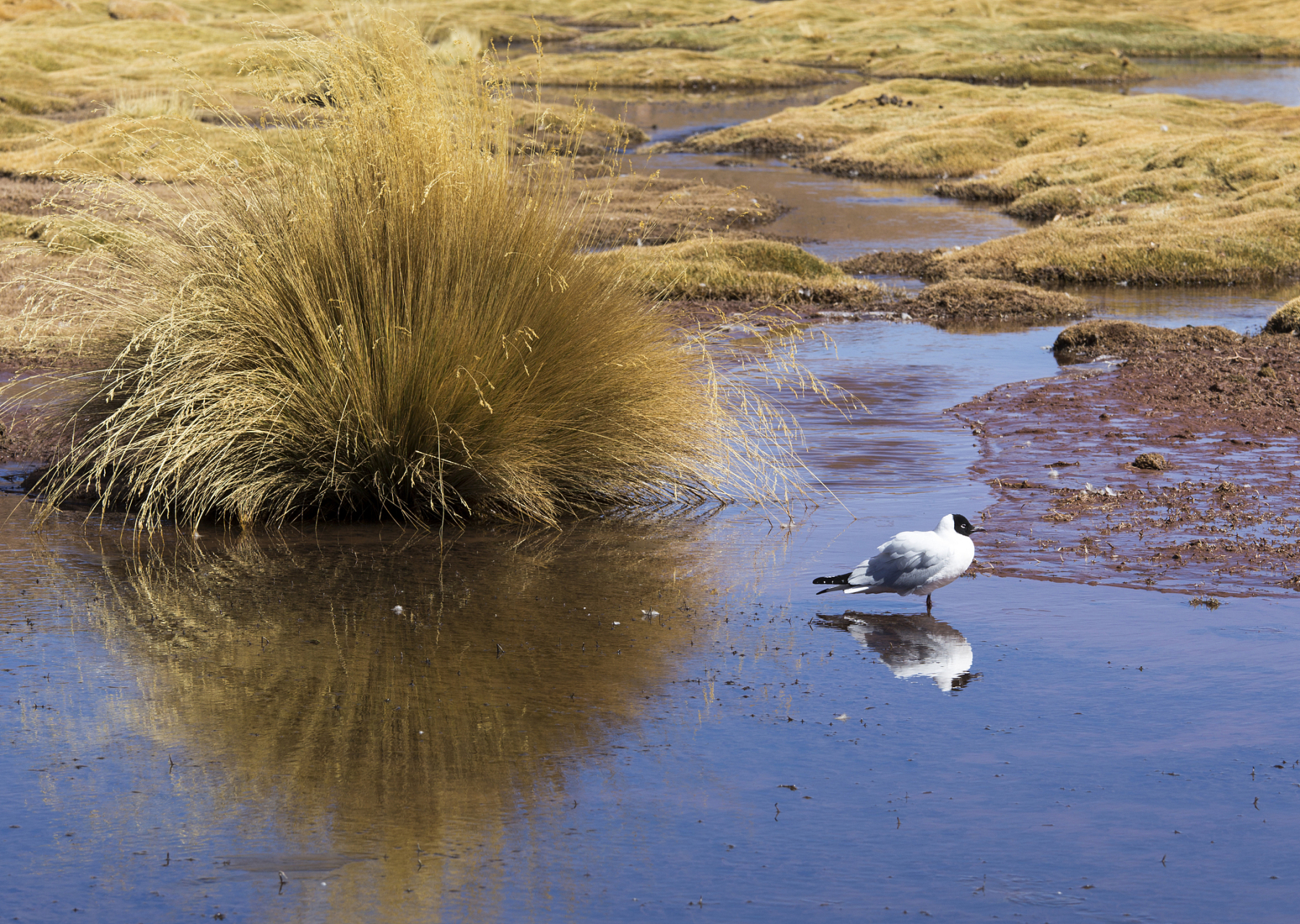 如果,人人都想避风,港湾匮乏的关系,就一定会变质,破裂,相互仇视.