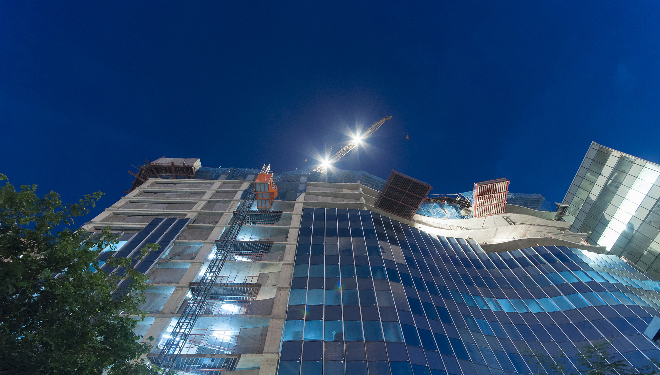 芝加哥鸟类密集撞窗致命悲剧,城市光污染需引起关注  最近,美联社报道