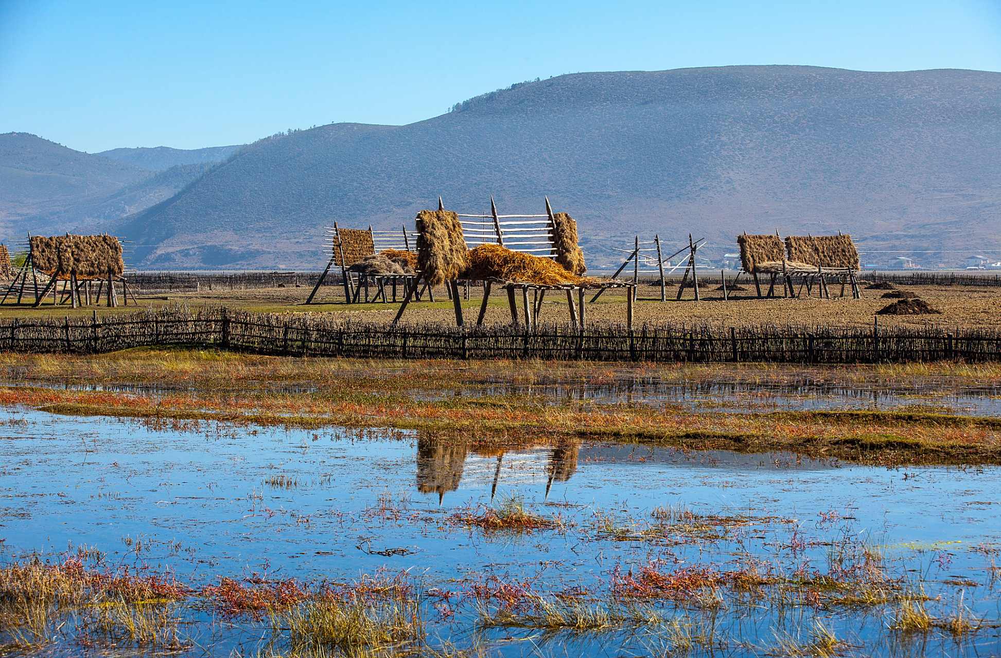 纳帕海自然保护区位于云南迪庆州香格里拉市.建立于1984年,总面积31.