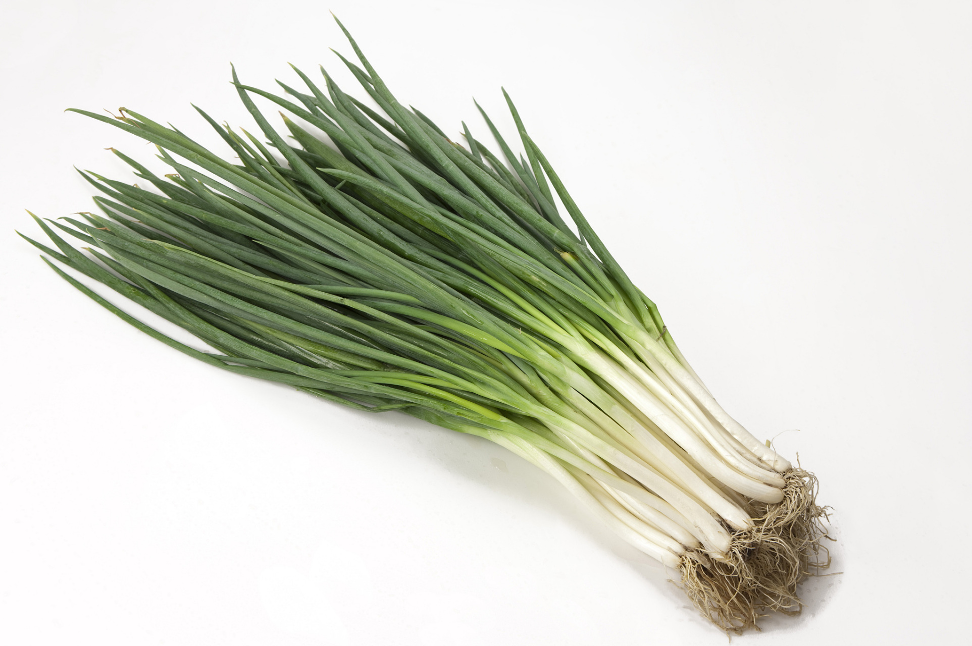 夏季高温大葱该如何管理 今天这个视频是我请教了山东几十位亩产1万四