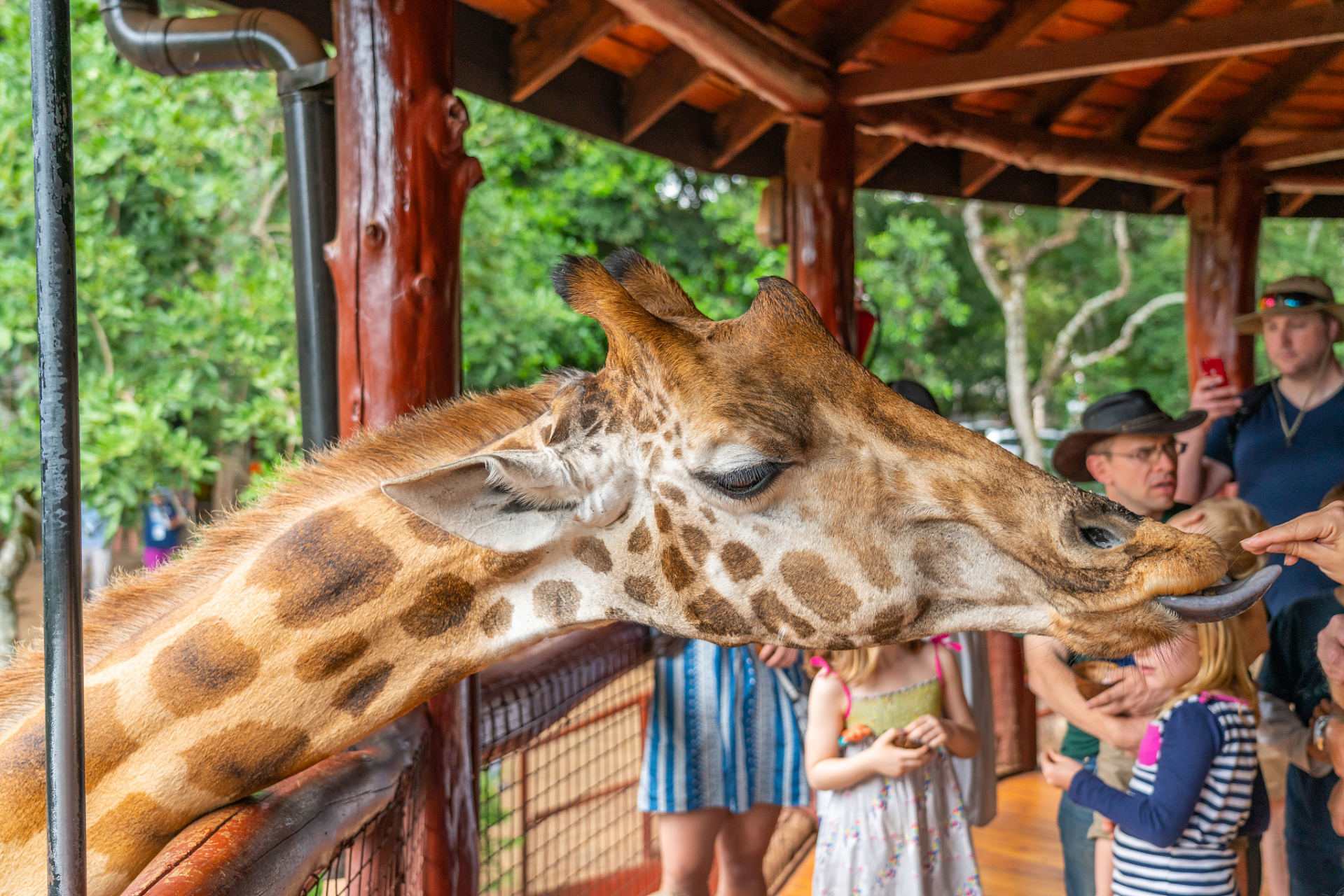 91成都动物园位于中国四川成都市,是一座融合了自然和人文的美丽