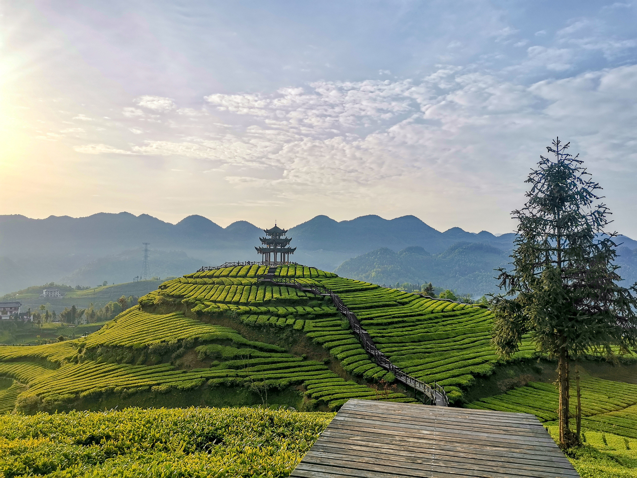 梅州茶园旅游区图片