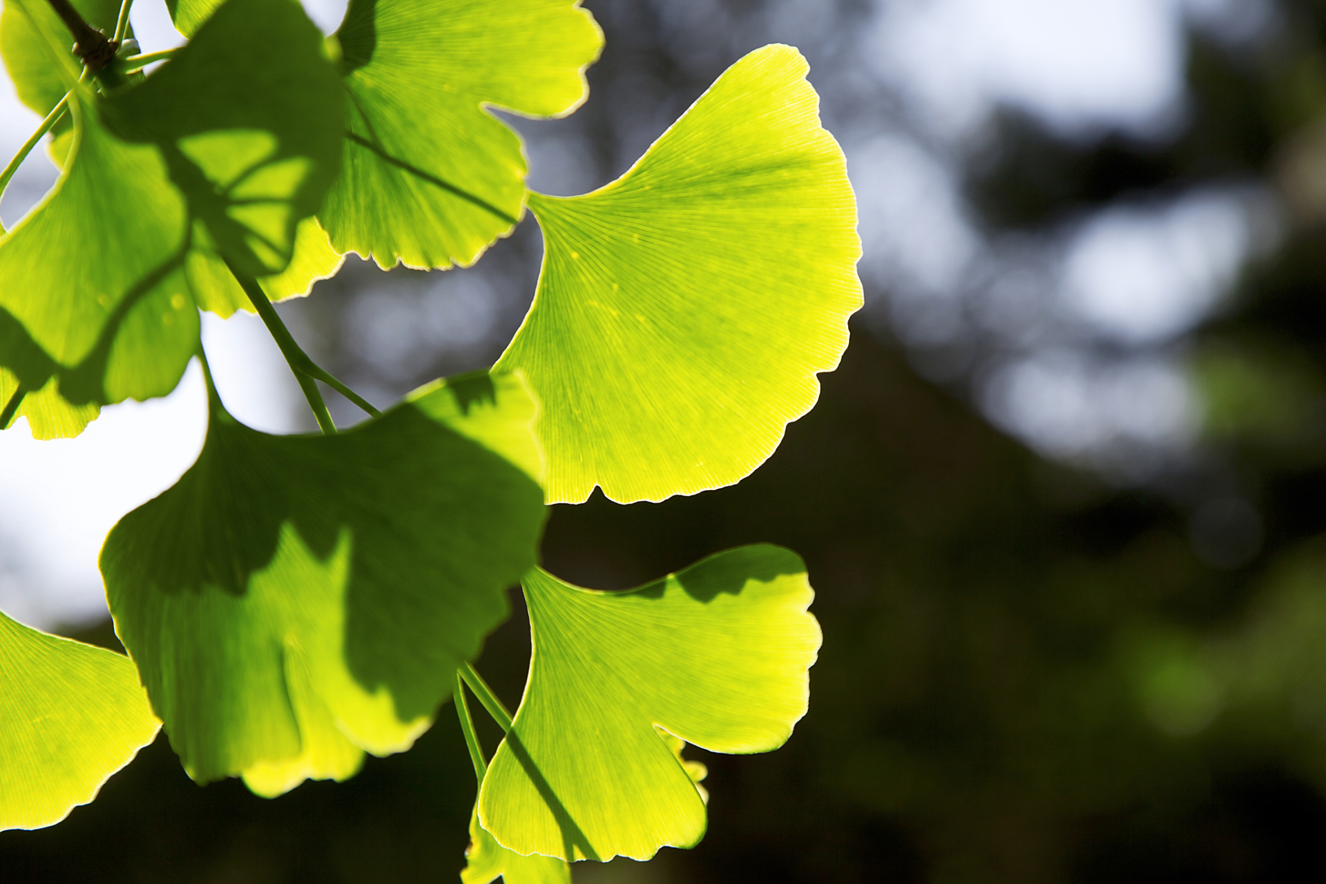 情绪一部分靠精神调控,另一部分则靠身体掌控.