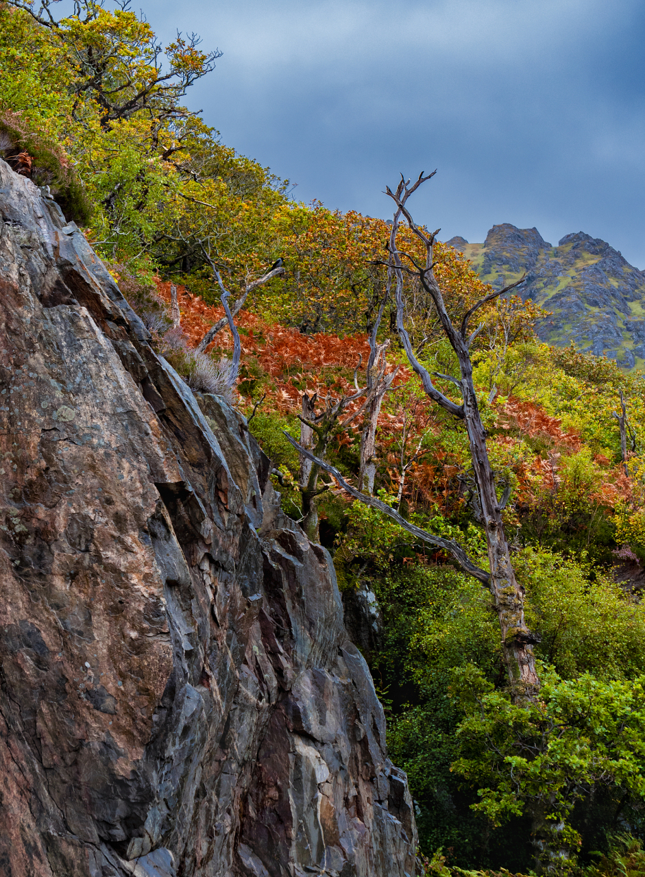 蛟河拉法山,以其独特的奇石异峰和茂密的森林而闻名.
