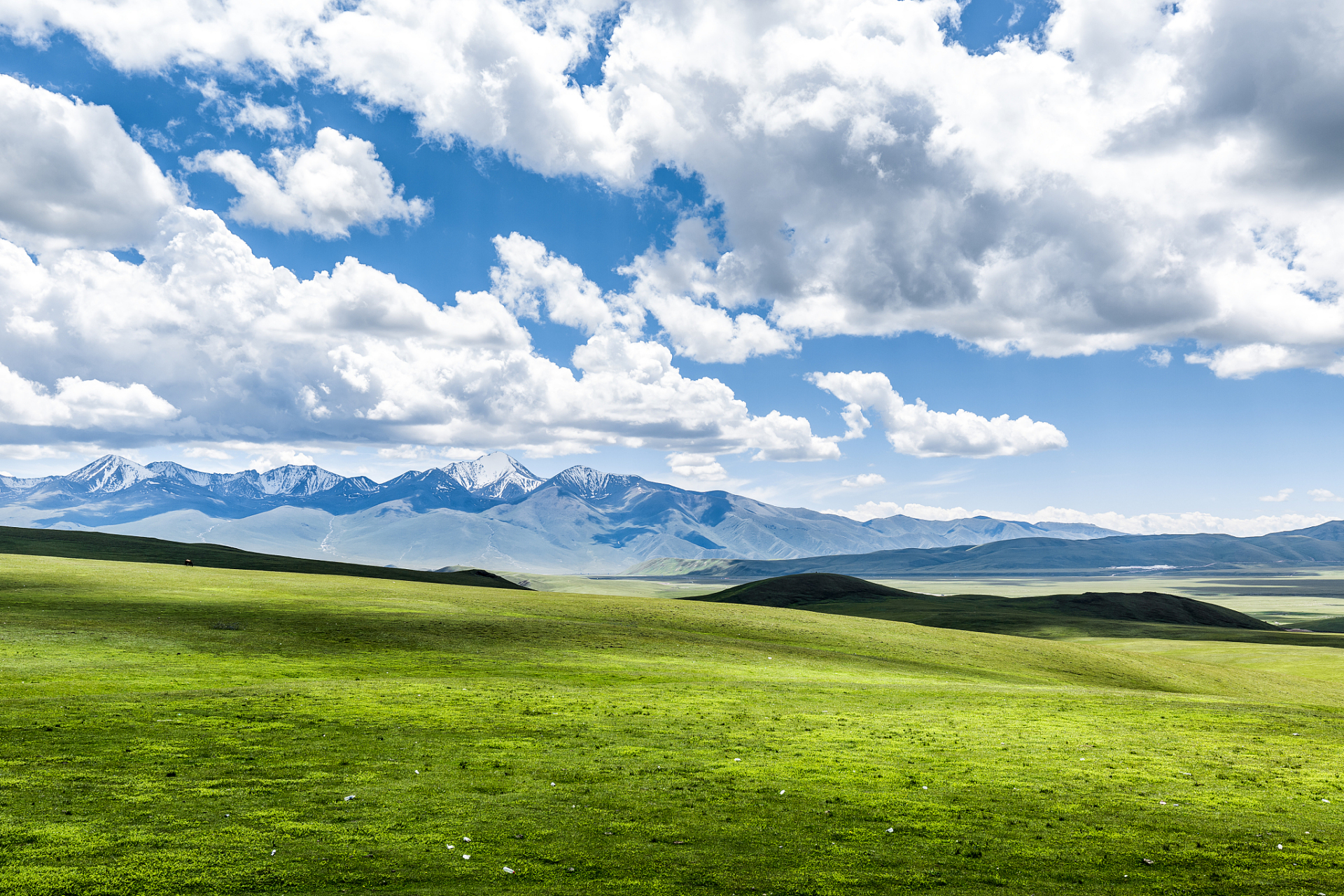 奇遇那拉提#那拉提大草原位于新疆维吾尔自治区西部,是中国最大的