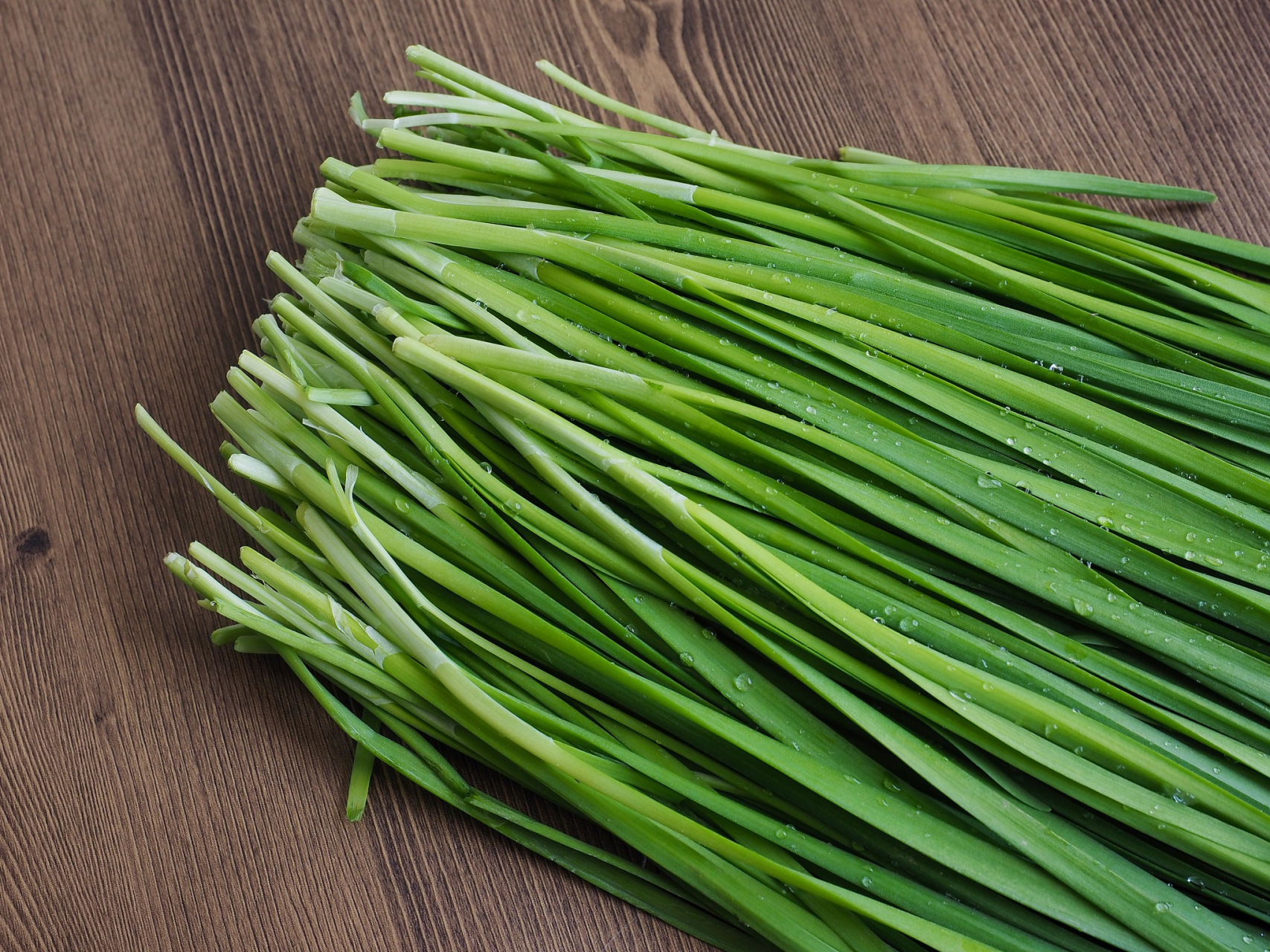 了解韭菜生长习性,选择合适的品种和种植方法;2.