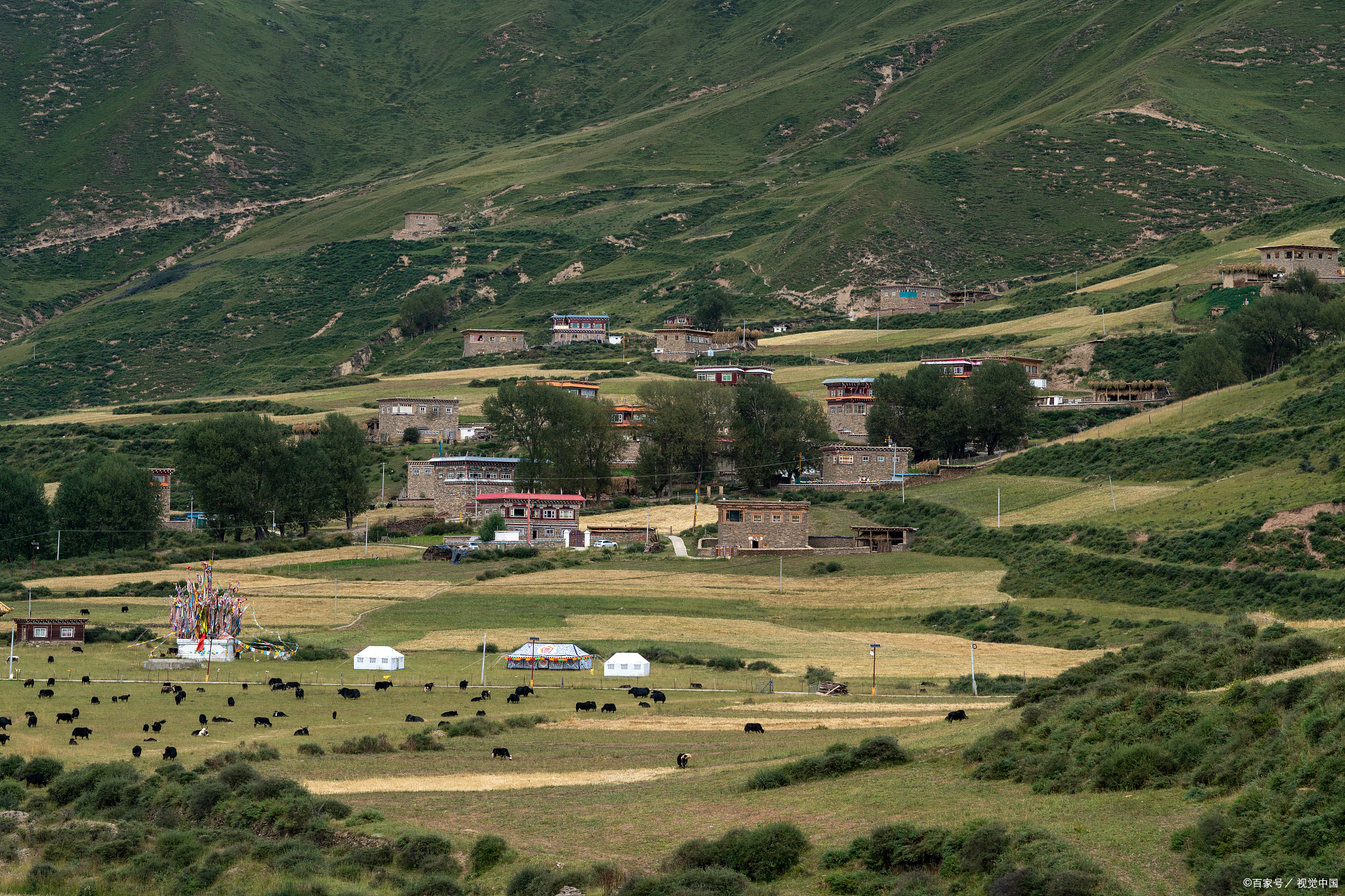 则查洼寨探秘:深秋红叶下的藏寨奇遇,邂逅手工酸奶酪的浓香