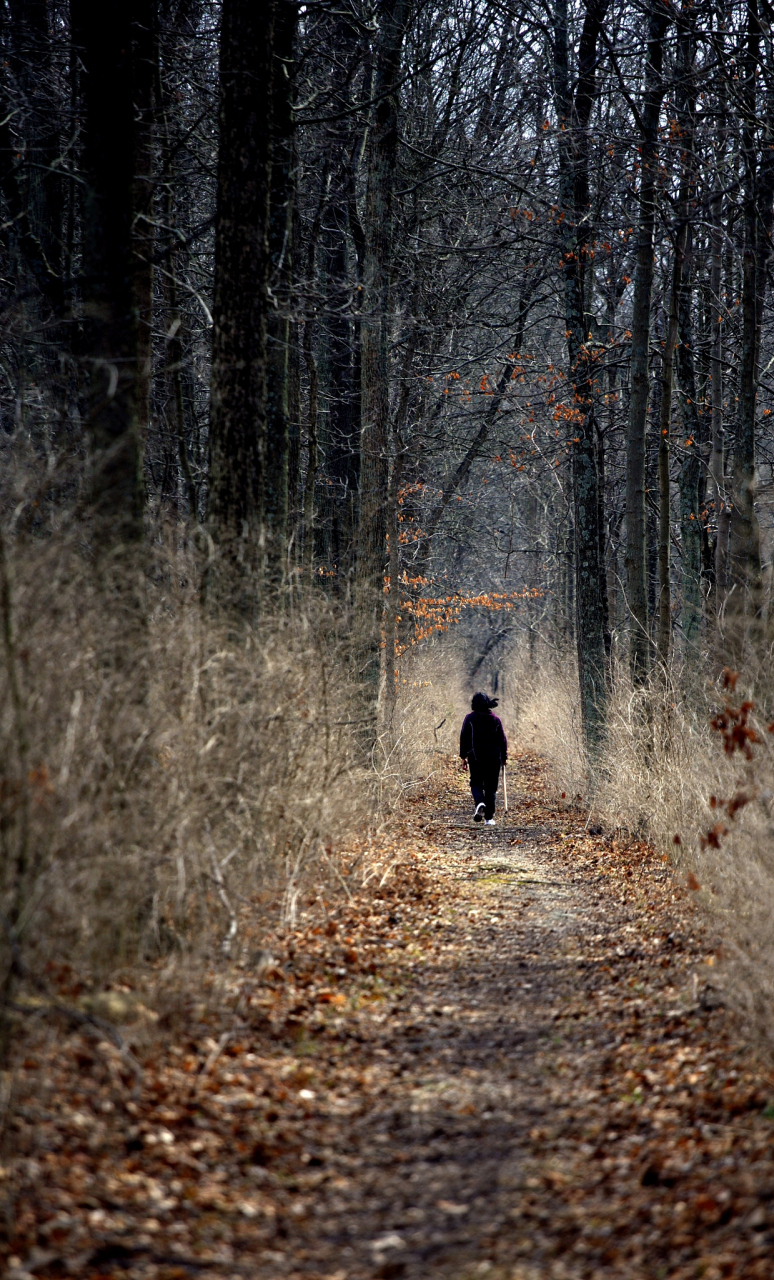 孤独:身心的无声杀手  孤独不仅仅是一种悲伤或空虚的感觉.