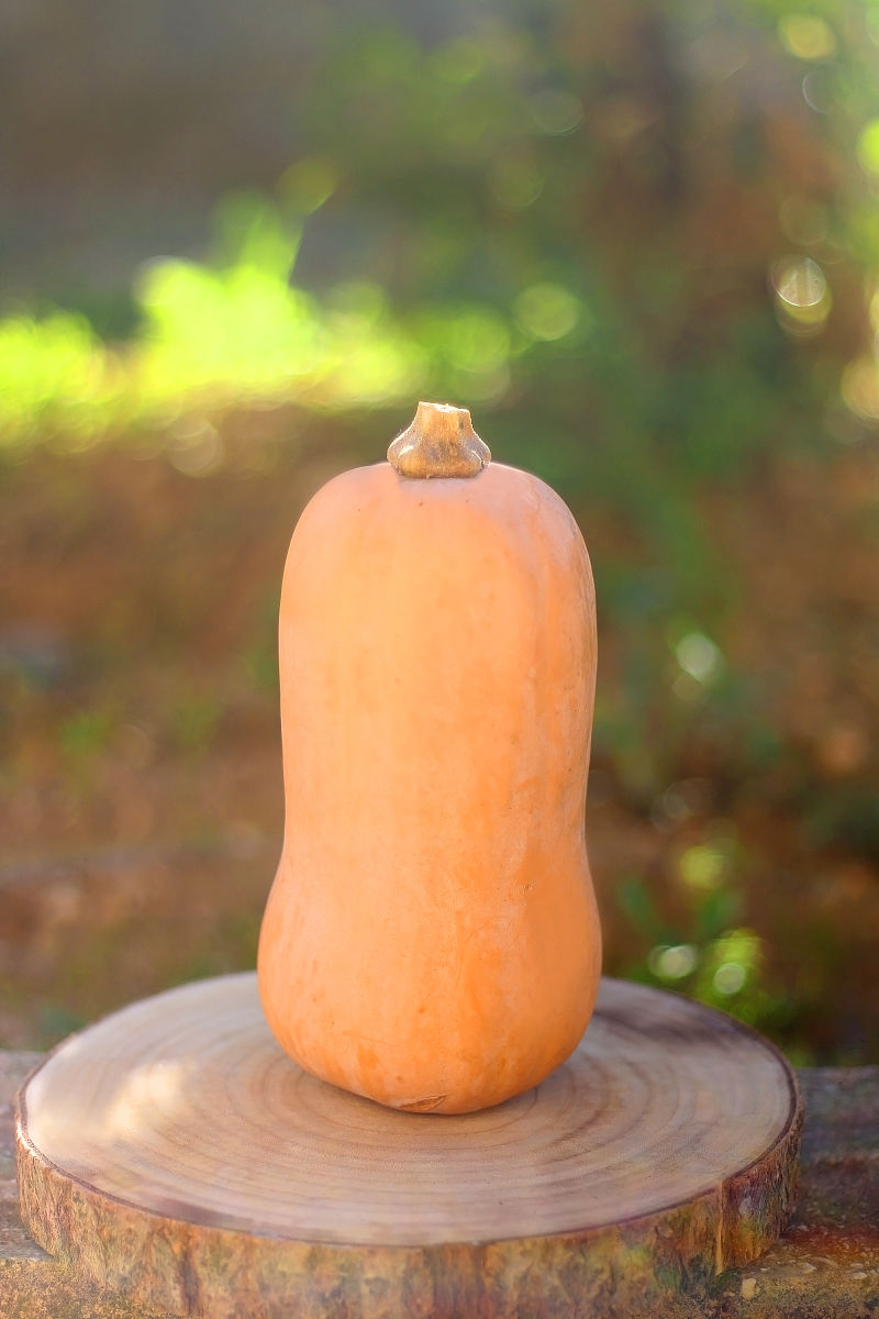 南瓜酒被美誉为"天浆地露",其色泽赤黄透明,橡木香与酒香浓郁协调