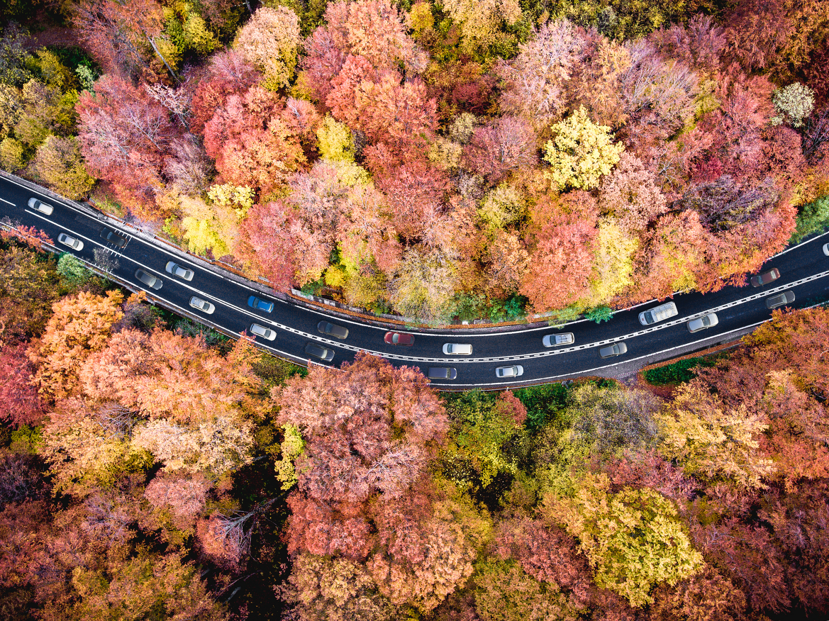 本恒公路·中华枫叶大道,最美的红枫自驾路 本桓公路中华枫叶大道位于