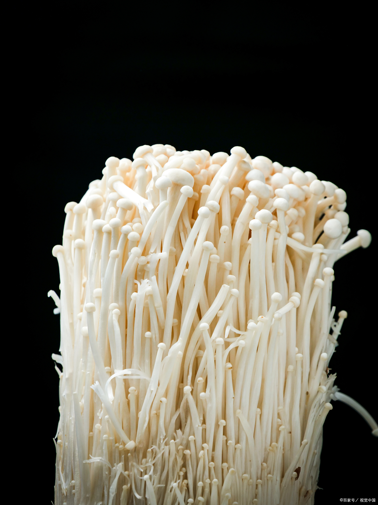 金针菇怎么洗 - 专家提供详细说明与技巧