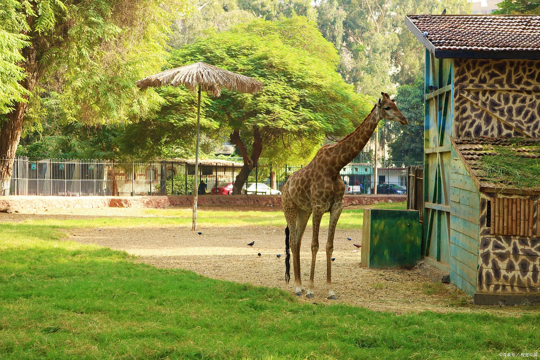 昆明野生动物园游玩攻略
