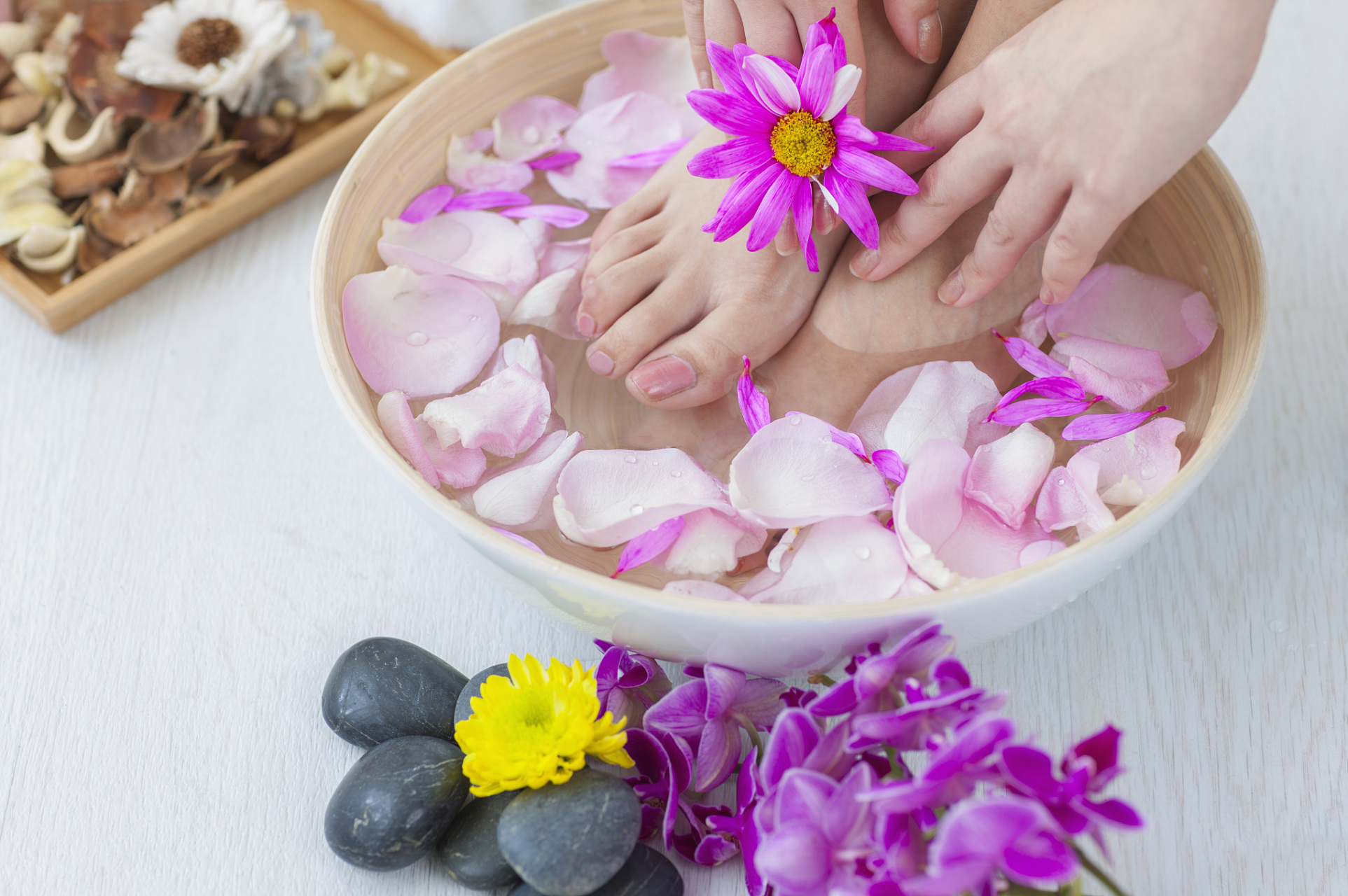 健康养生每日养经络 老中医教你经络养生要点,背熟受