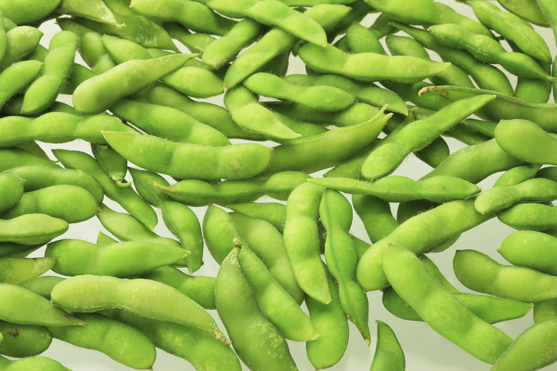 毛豆是豆荚中未成熟的大豆,是一种常见的蔬菜.