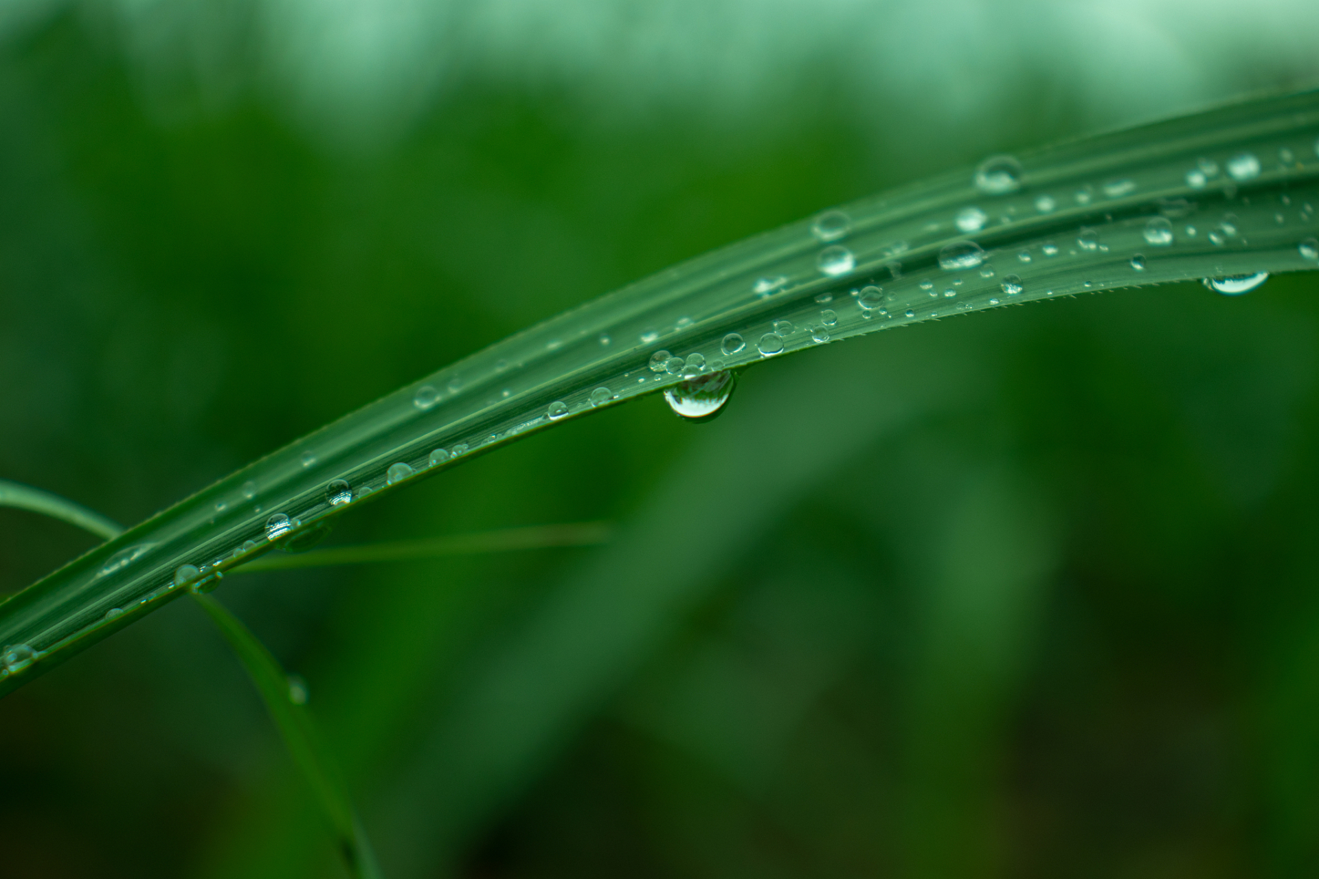 雨滴在天空中是什么形状?