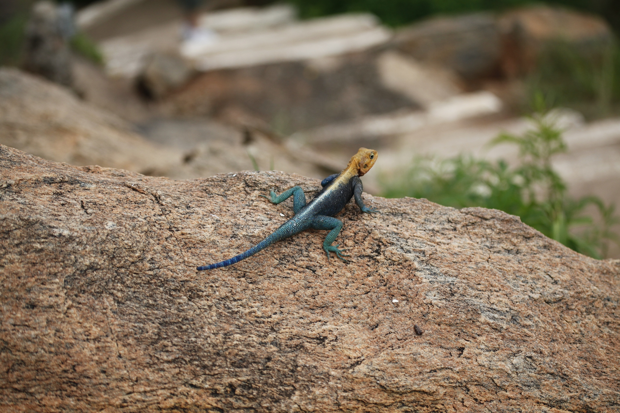 实际上,任何个体都是脆弱的