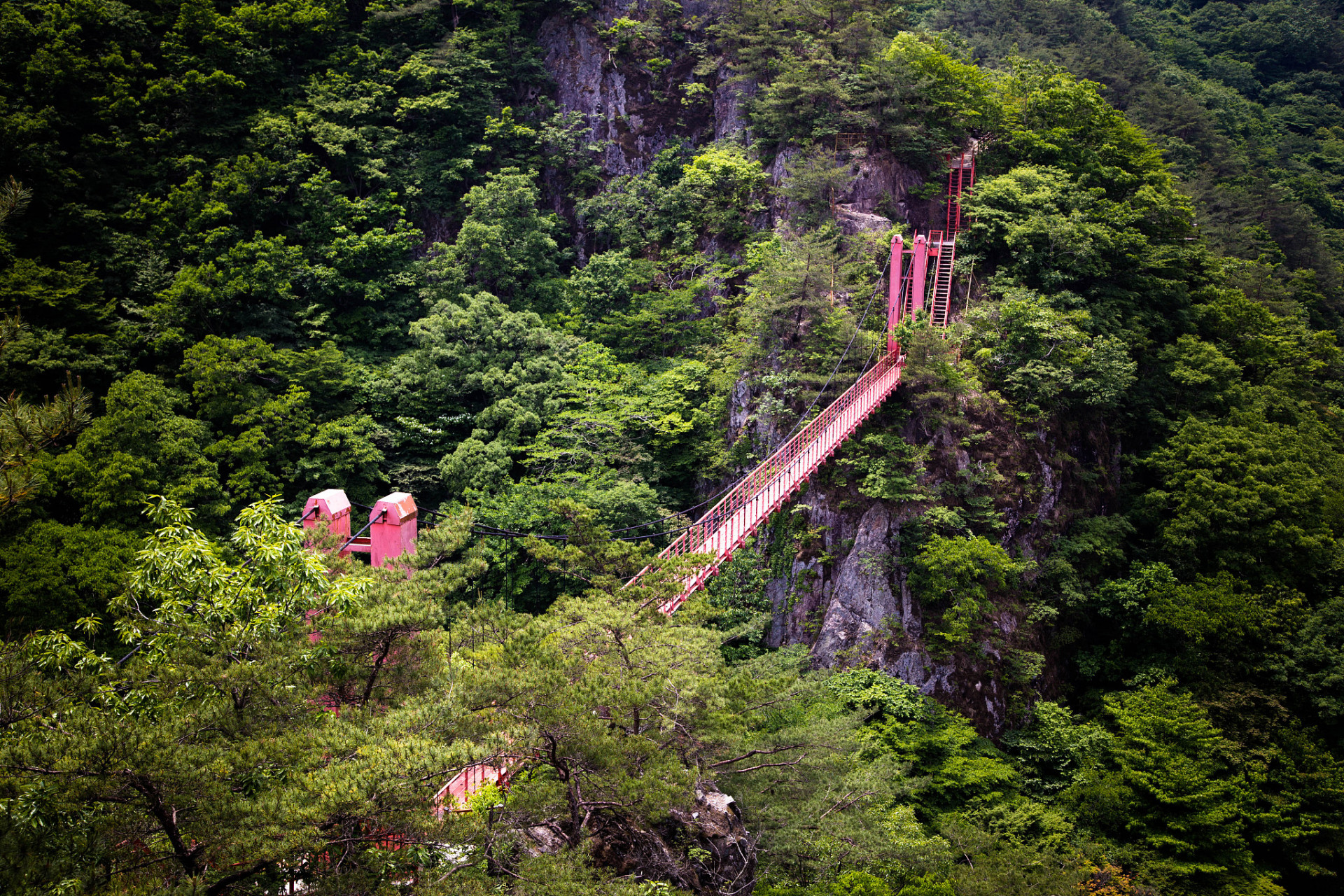 选择靖安作为旅游目的地,游客将度过难忘旅