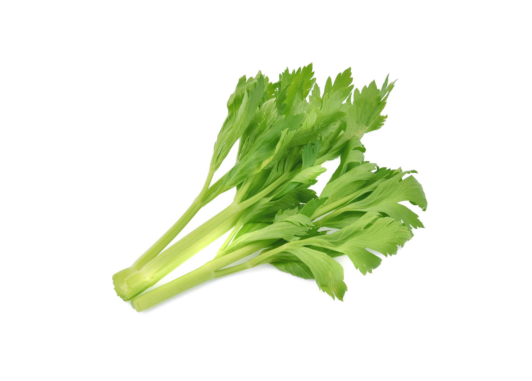 可见他非常偏爱"芹"字.那么他为何偏爱"芹"字? 芹的本意是芹菜