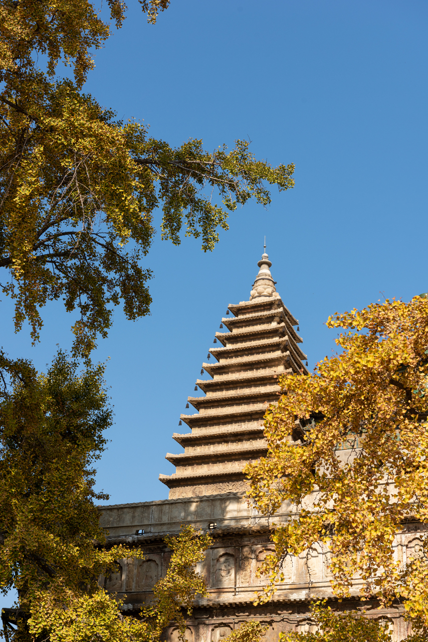 朝阳大宝塔位于辽宁省朝阳市双塔区的东凤凰山北麓,是一座省级重点