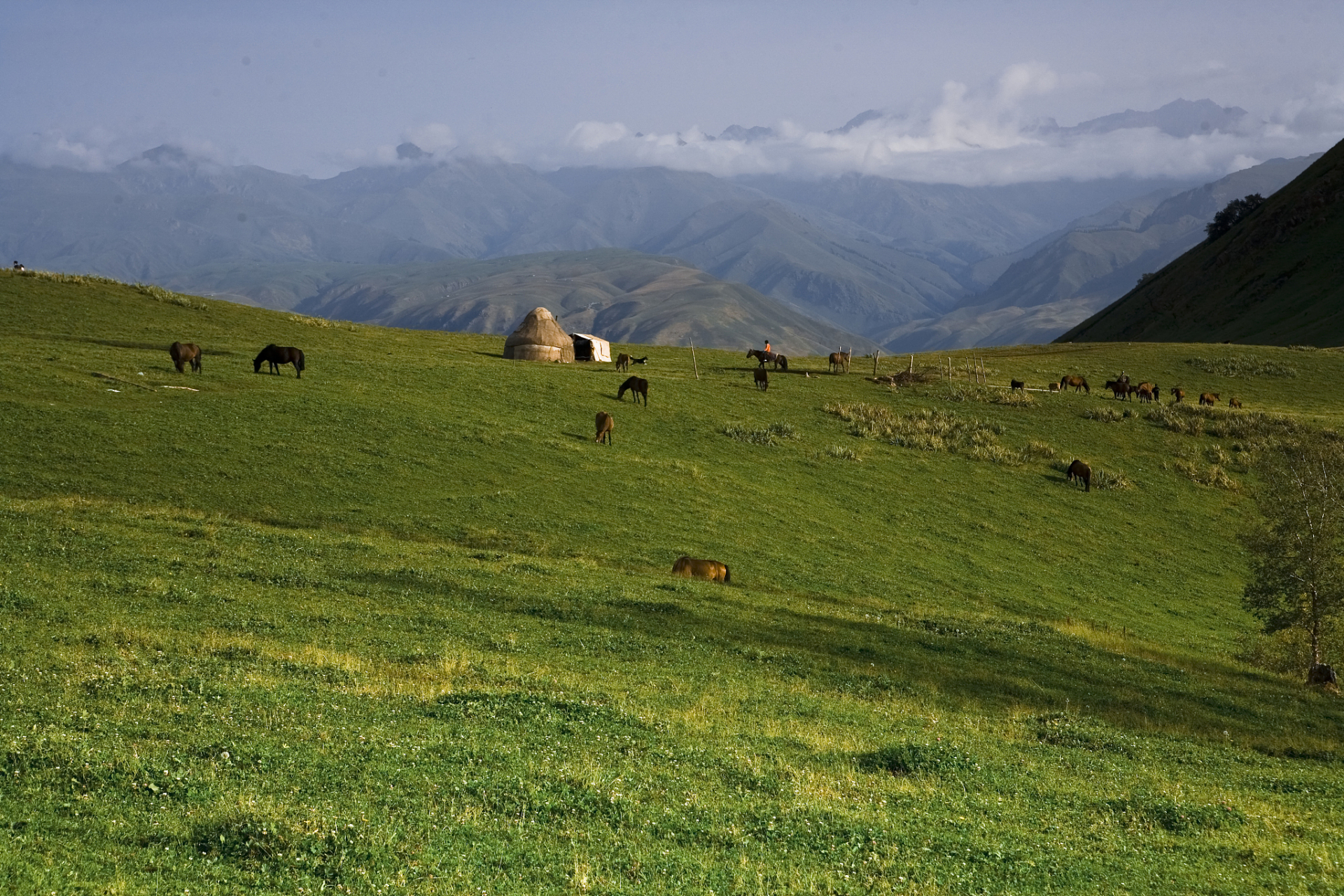 奇遇那拉提#那拉提巩乃斯草原位于中国新疆喀什地区,是一片被誉为"