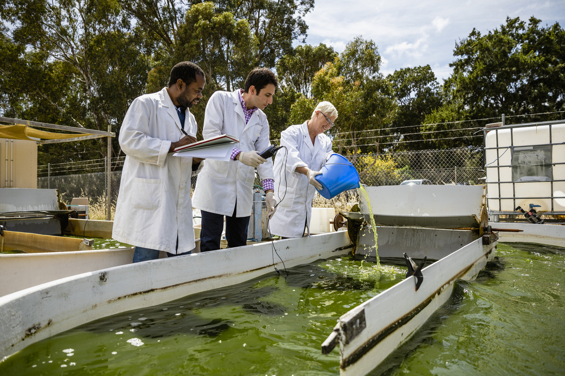 水产养殖类专业的学生可以在水产养殖企业,水产科研机构,水产饲料企业