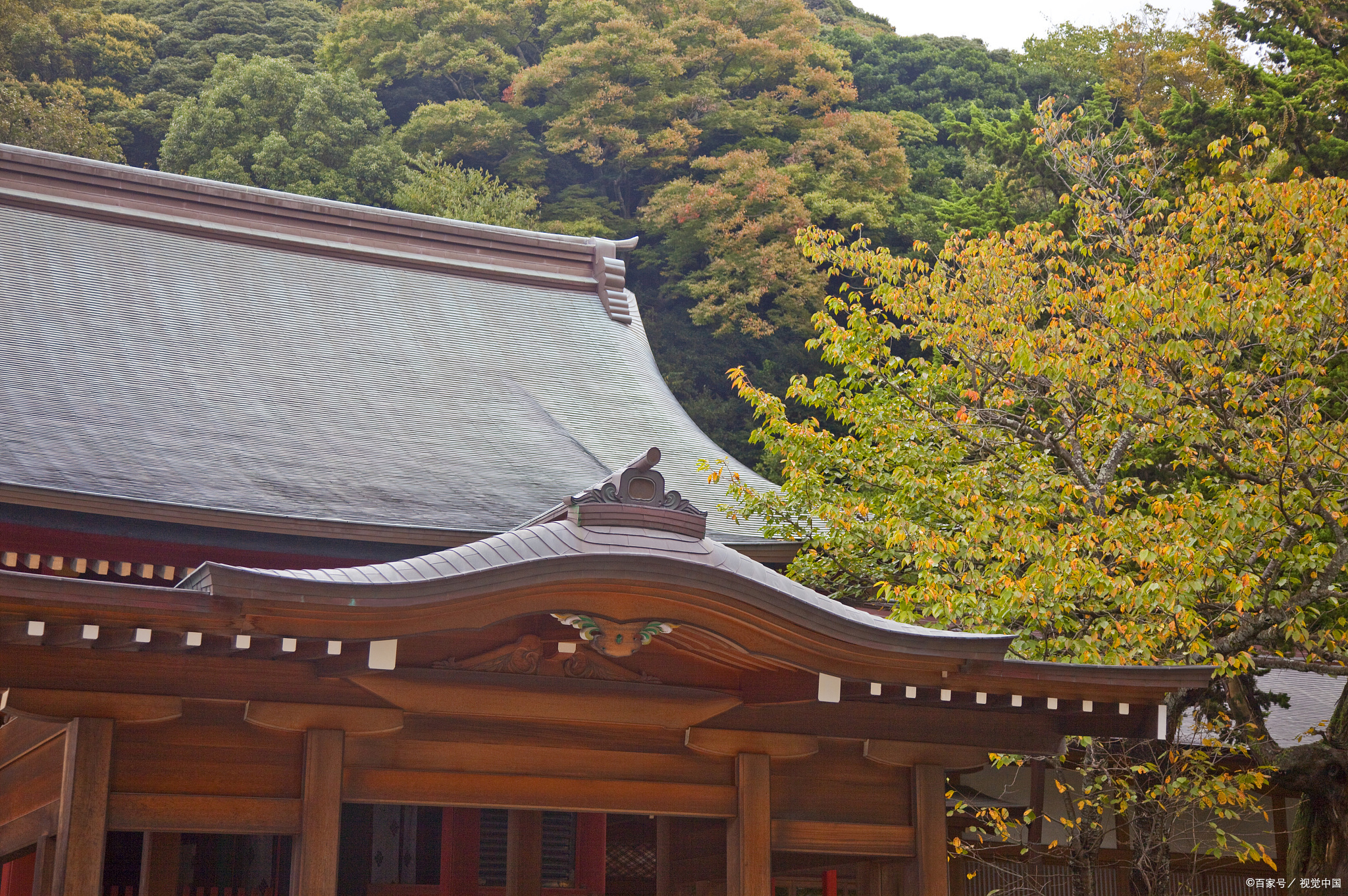 世田谷区八幡宫图片