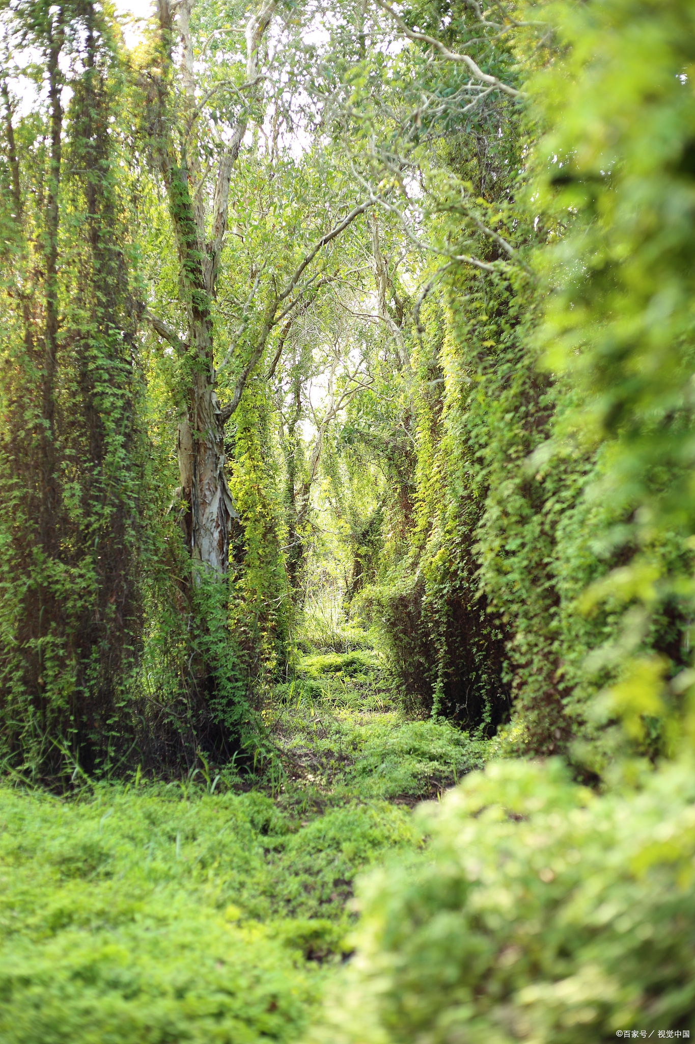 人性难测♂♂♂多个心眼少份亏