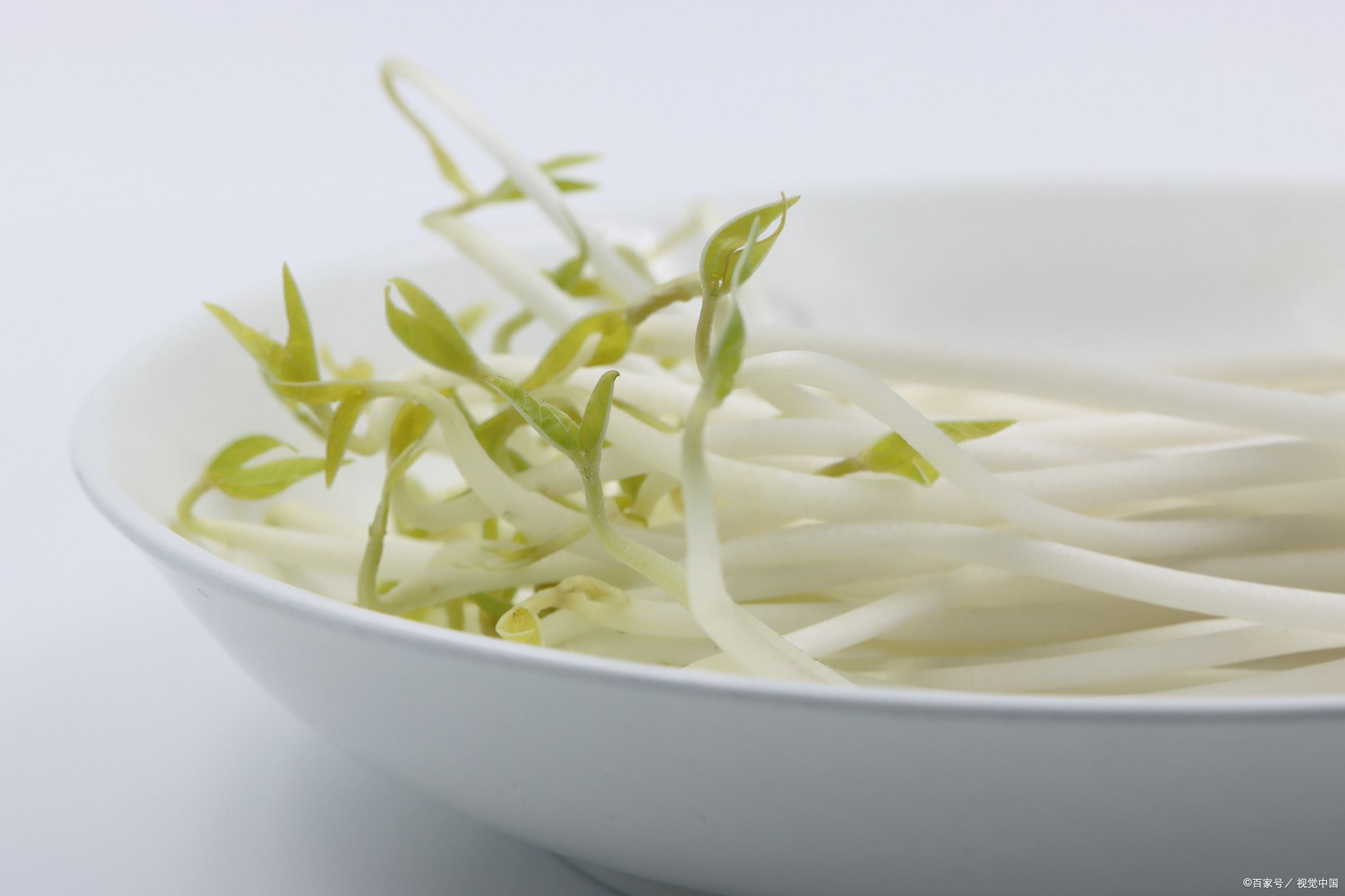 绿豆芽:中医视角下的天然宝藏