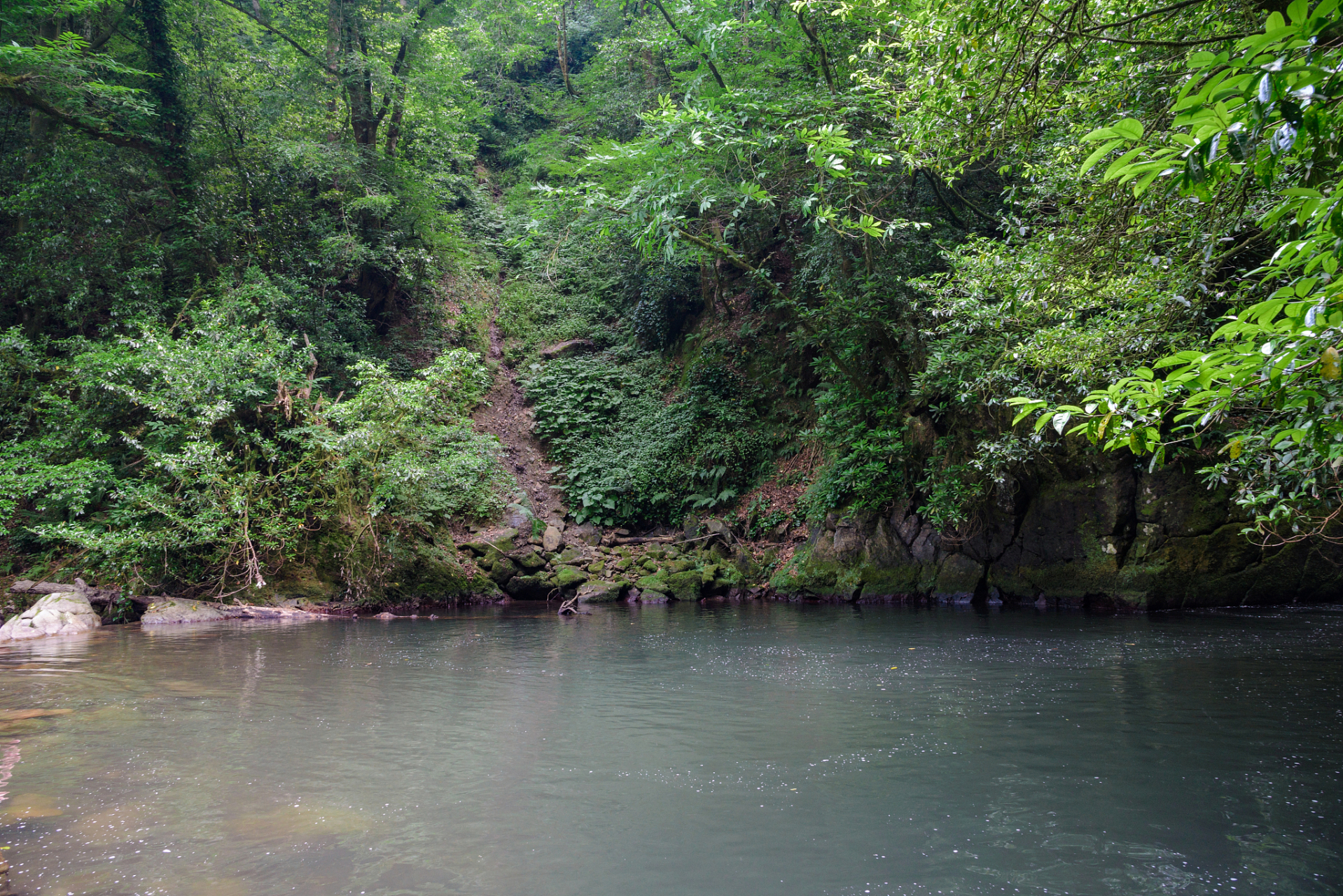 花岩溪国家森林公园是一个位于湖南省常德市的迷人景区.