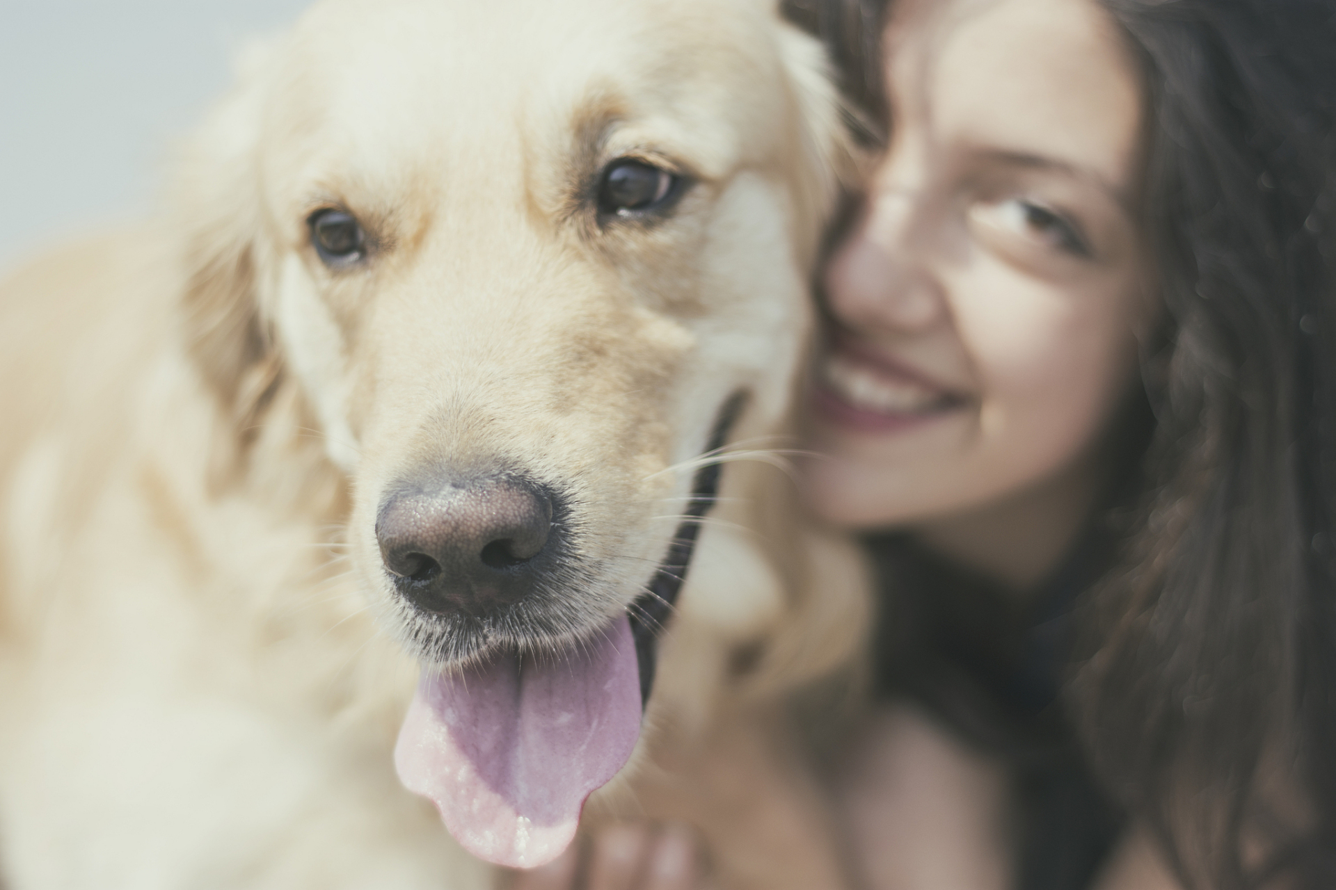 [原文:狗狗的神秘语言:远超你想.