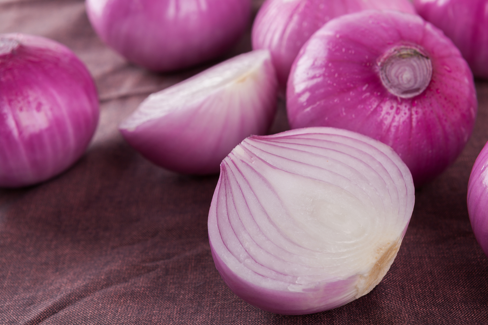 洋葱:冬日厨房的小秘密7615  冬天,窗外飘着雪