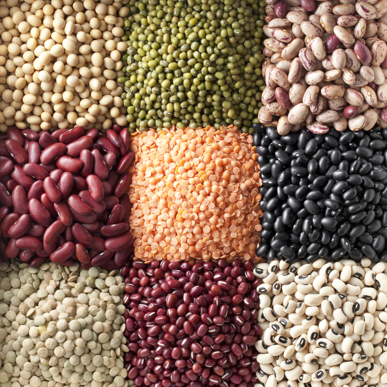 孕妇应从绿叶蔬菜,豆类和豆制品,全谷物,柑橘类水果,坚果和种子,禽肉