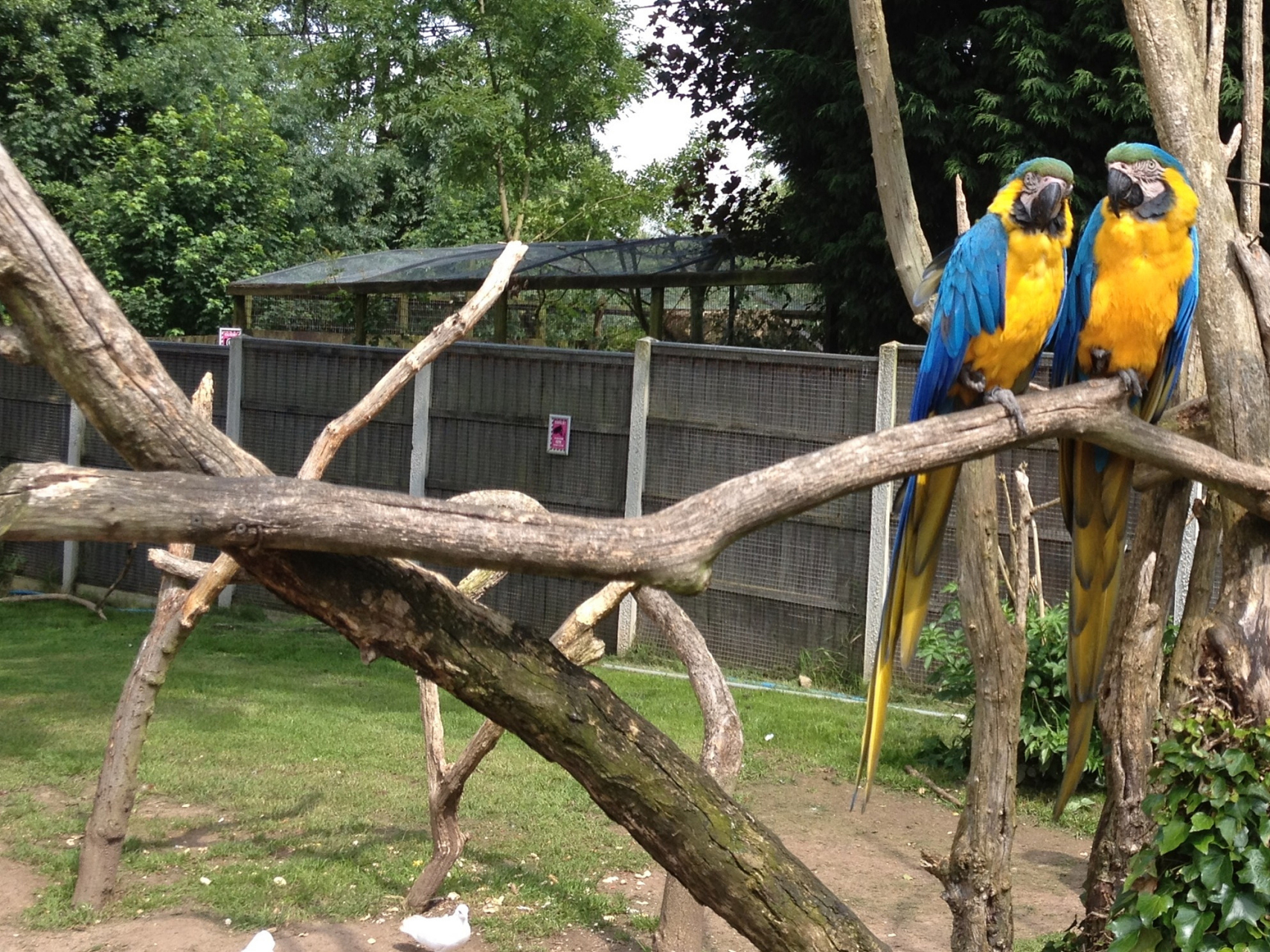 武汉东湖飞鸟世界(原"东湖鸟语林")位于风景秀丽的武汉市东湖风景名胜