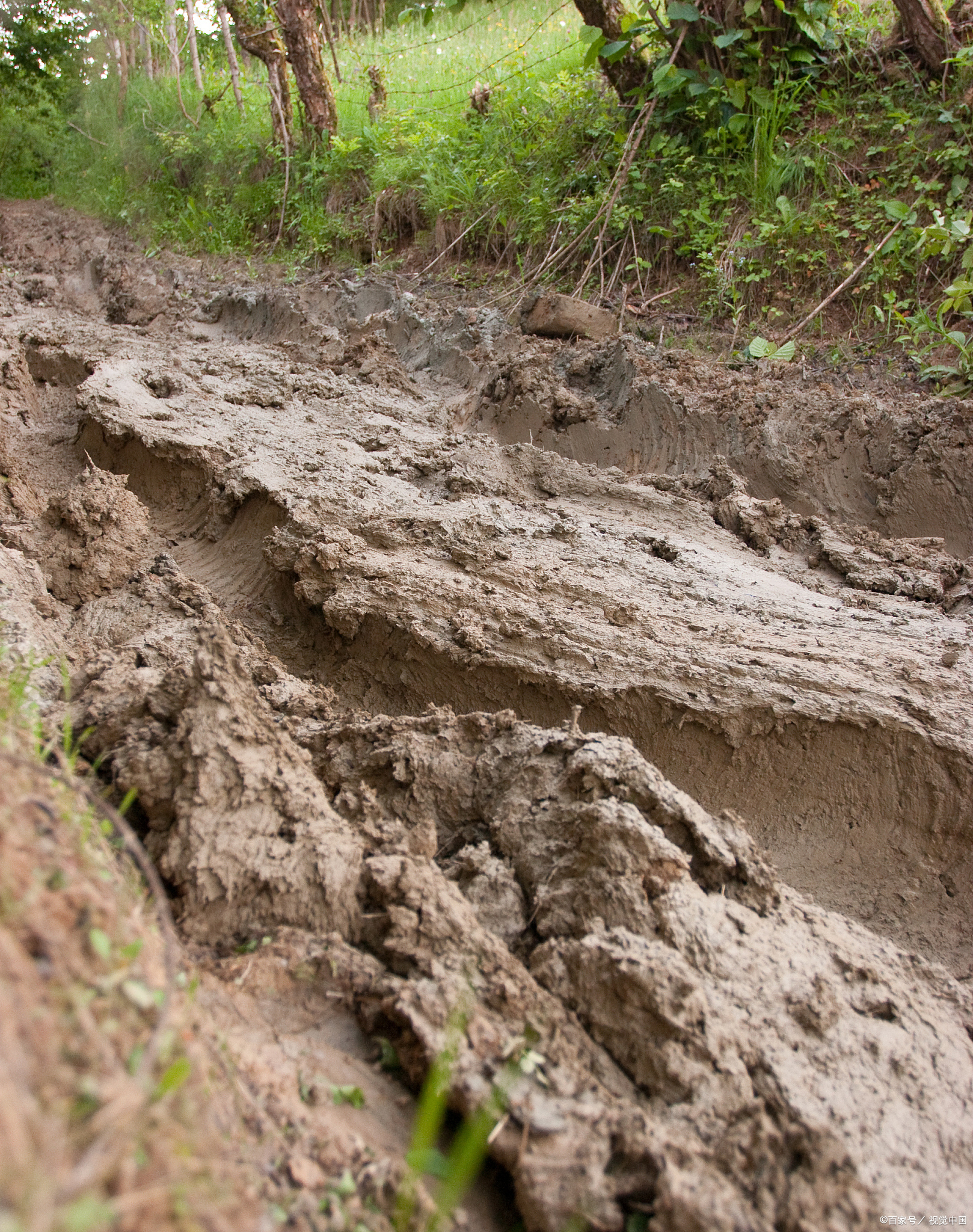 烂泥扶不上墙,没什么可羞耻的,总得有泥在墙上,有