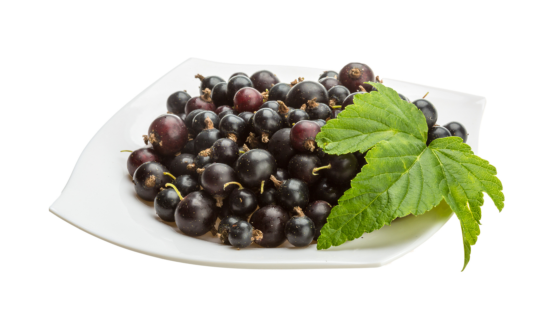 黑加仑小巧深紫,酸甜口感浓厚;黑葡萄大而饱满,甜美芳香.