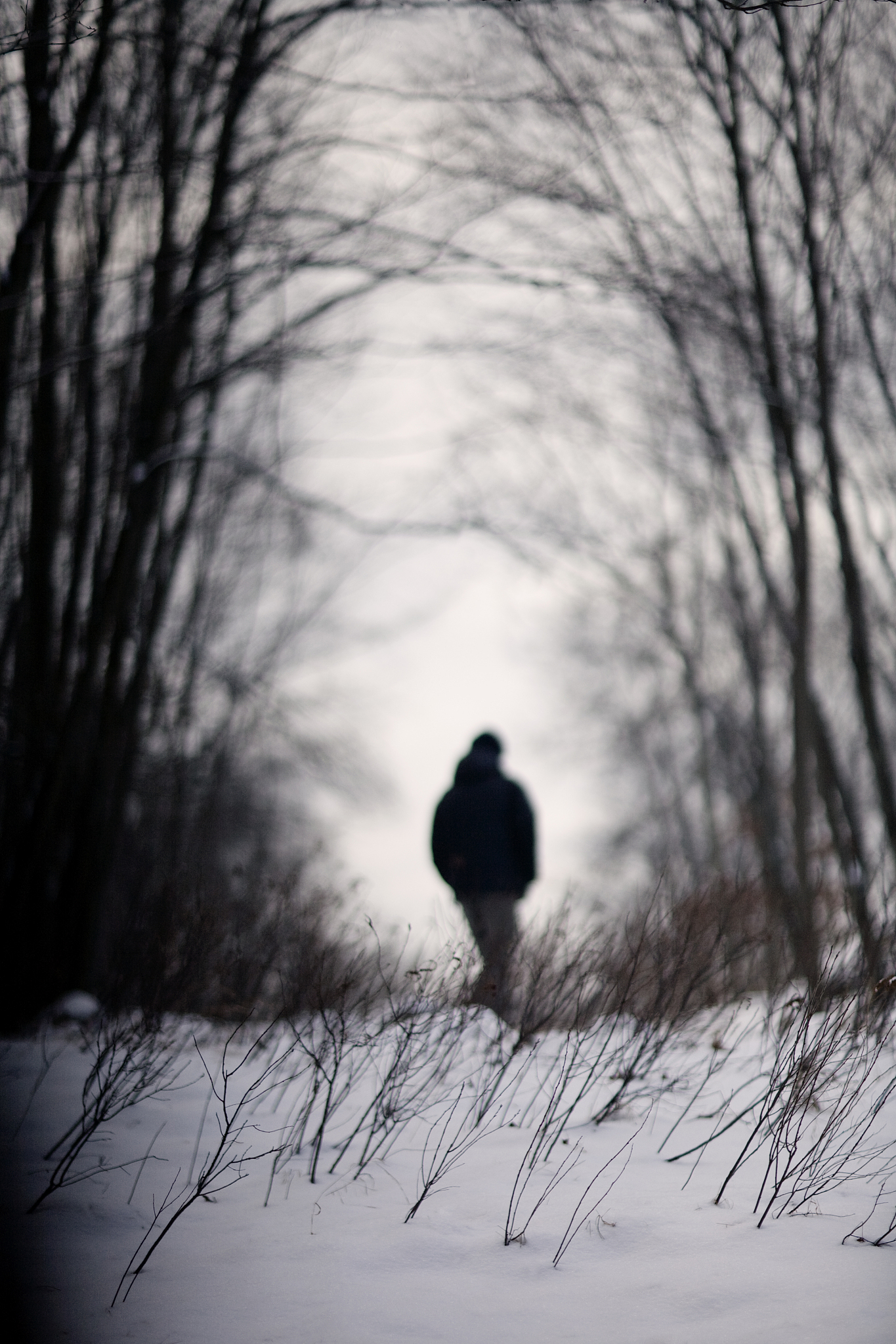 的梅花 冷冷地飘香 丝丝切切的细雨 洒满天空的凄凉 寂寞孤单的身影