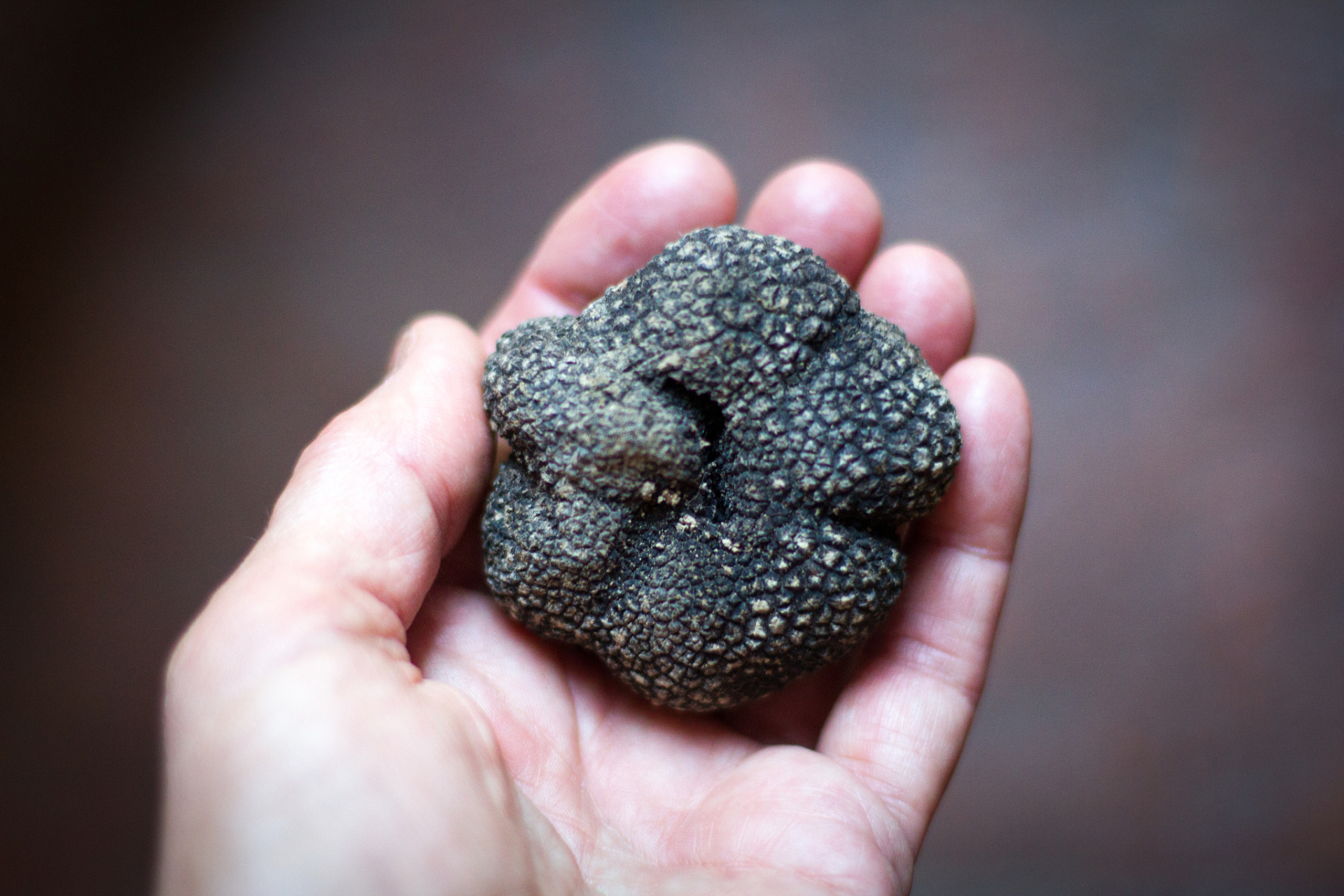 蟾酥治心力衰竭『仅供参考』 【配方】蟾酥(即癫蛤蟆的耳后腺及皮肤腺